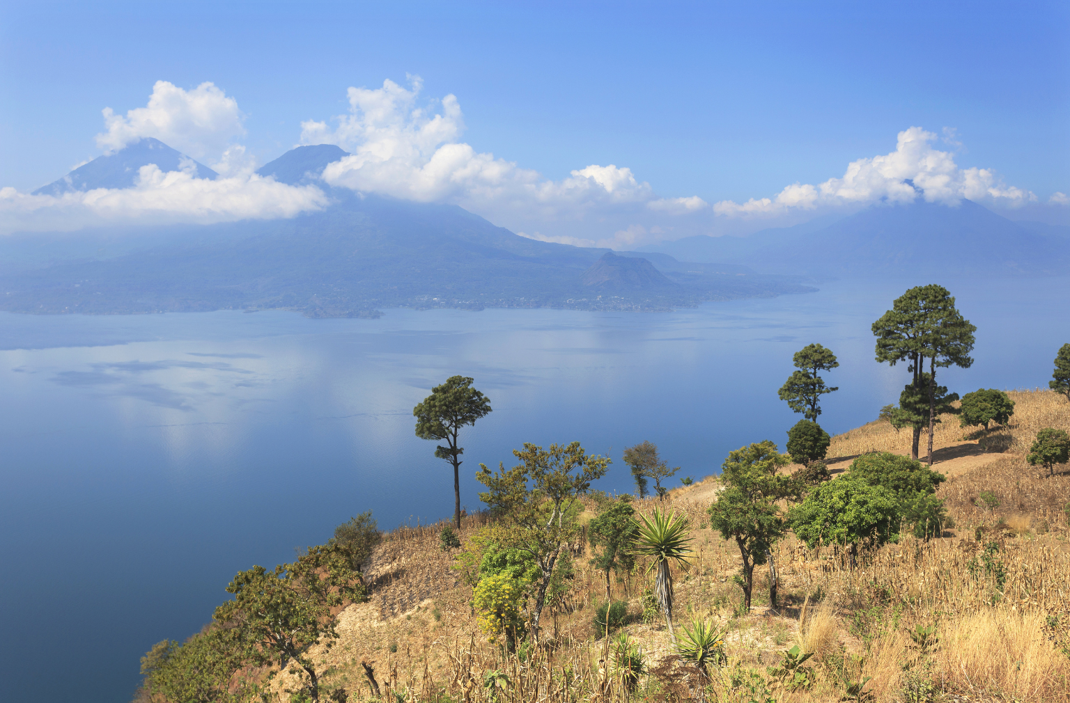 Blick auf einen See mit Vulkanen im Hintergrund und trockenem Hang mit Bäumen im Vordergrund in Guatemala