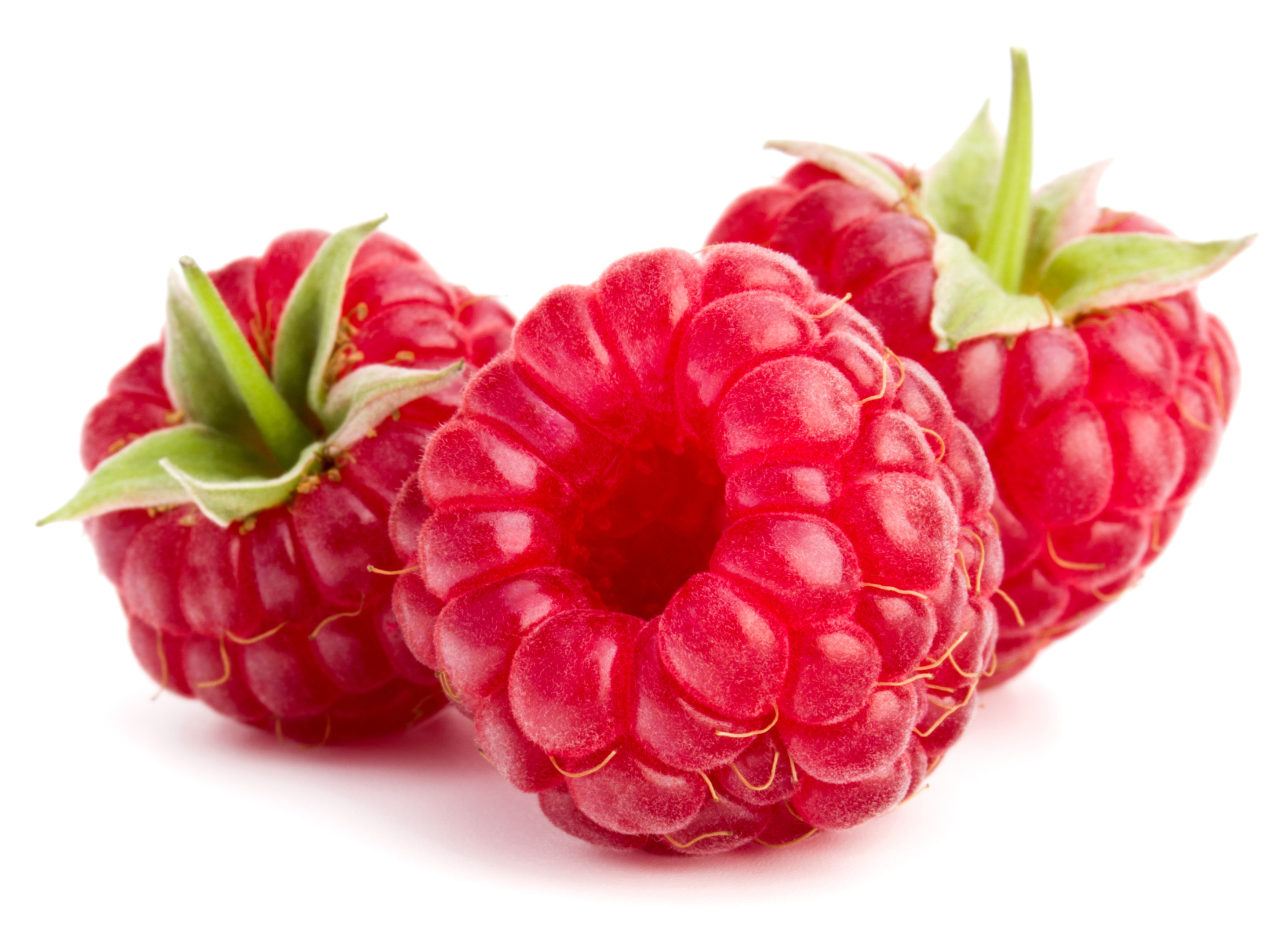 Himbeere Drei reife Himbeeren mit leuchtend roter Farbe und grünen Kelchblättern liegen nebeneinander auf weißem Hintergrund