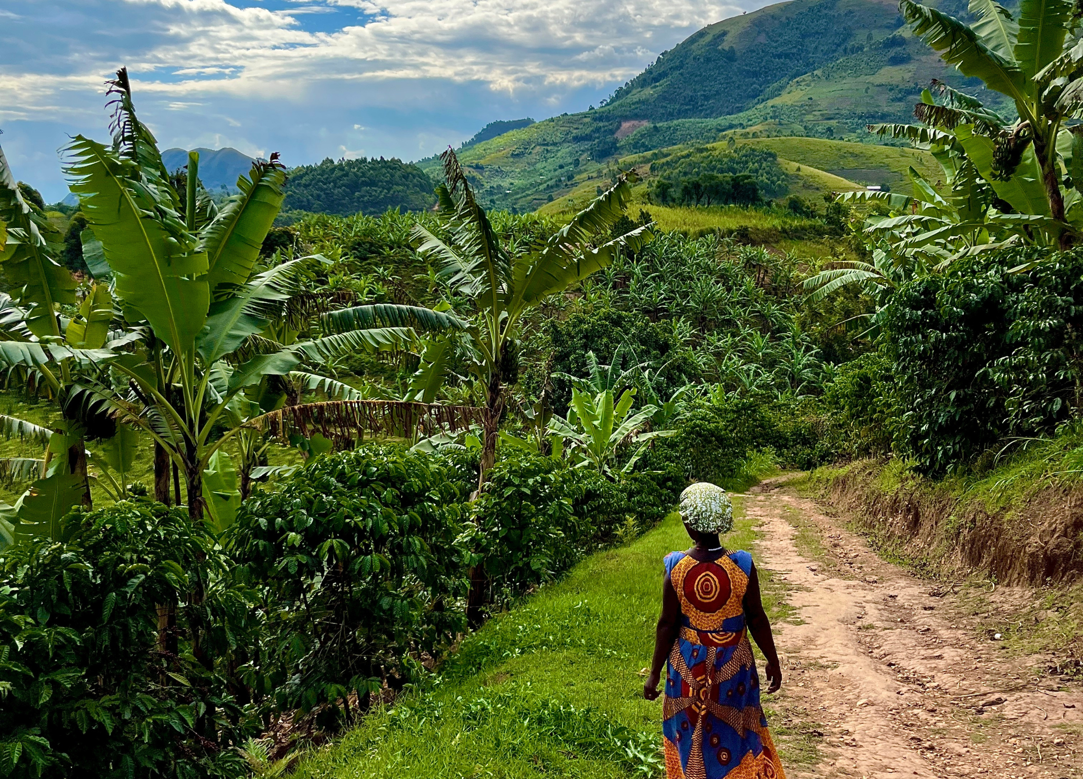 Frau in bunter Kleidung geht auf einem Feldweg durch eine grüne Hügellandschaft mit Bananenstauden