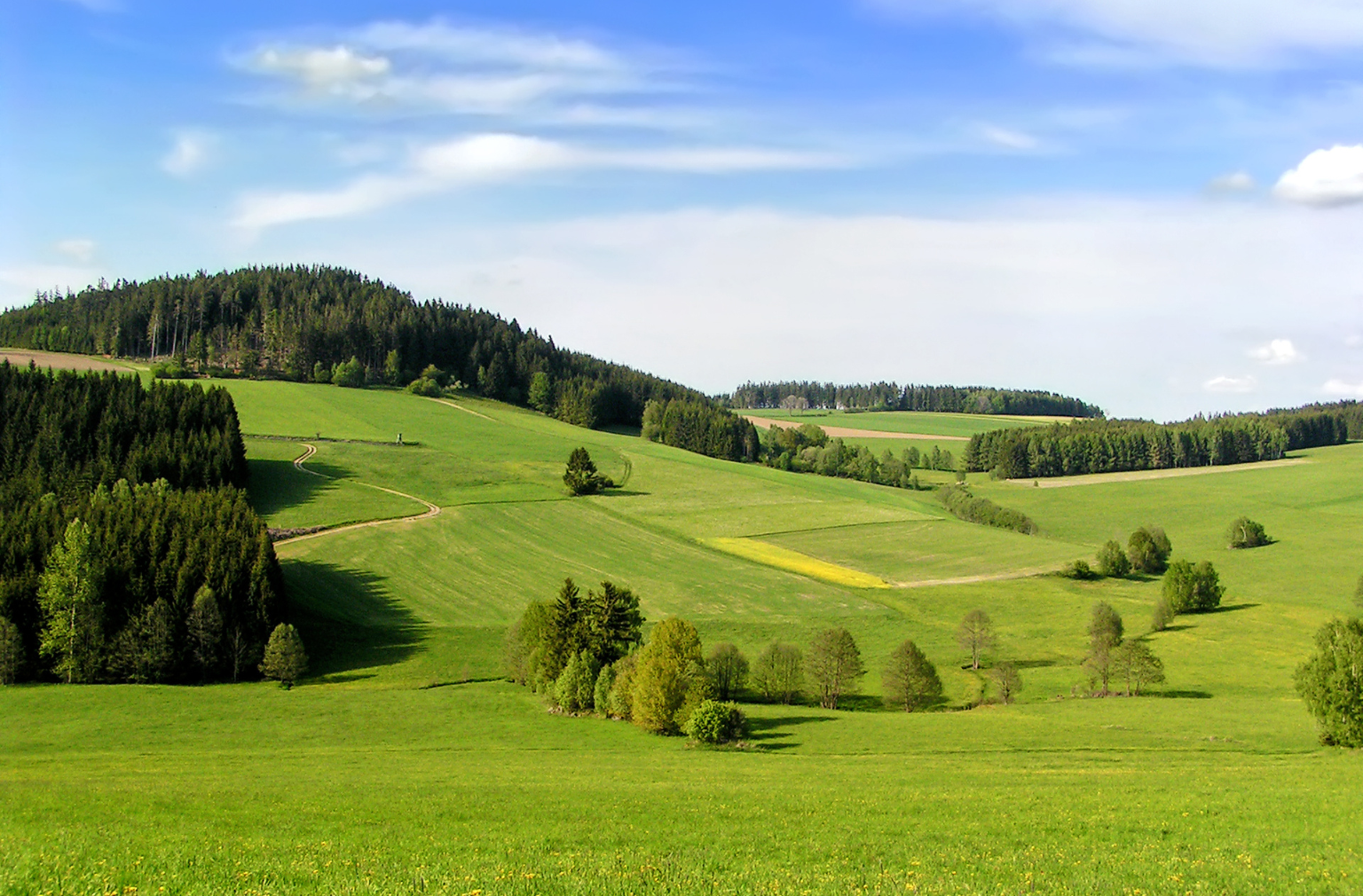 Grüne, hügelige Landschaft mit Wiesen, Feldern und Wald unter blauem Himmel