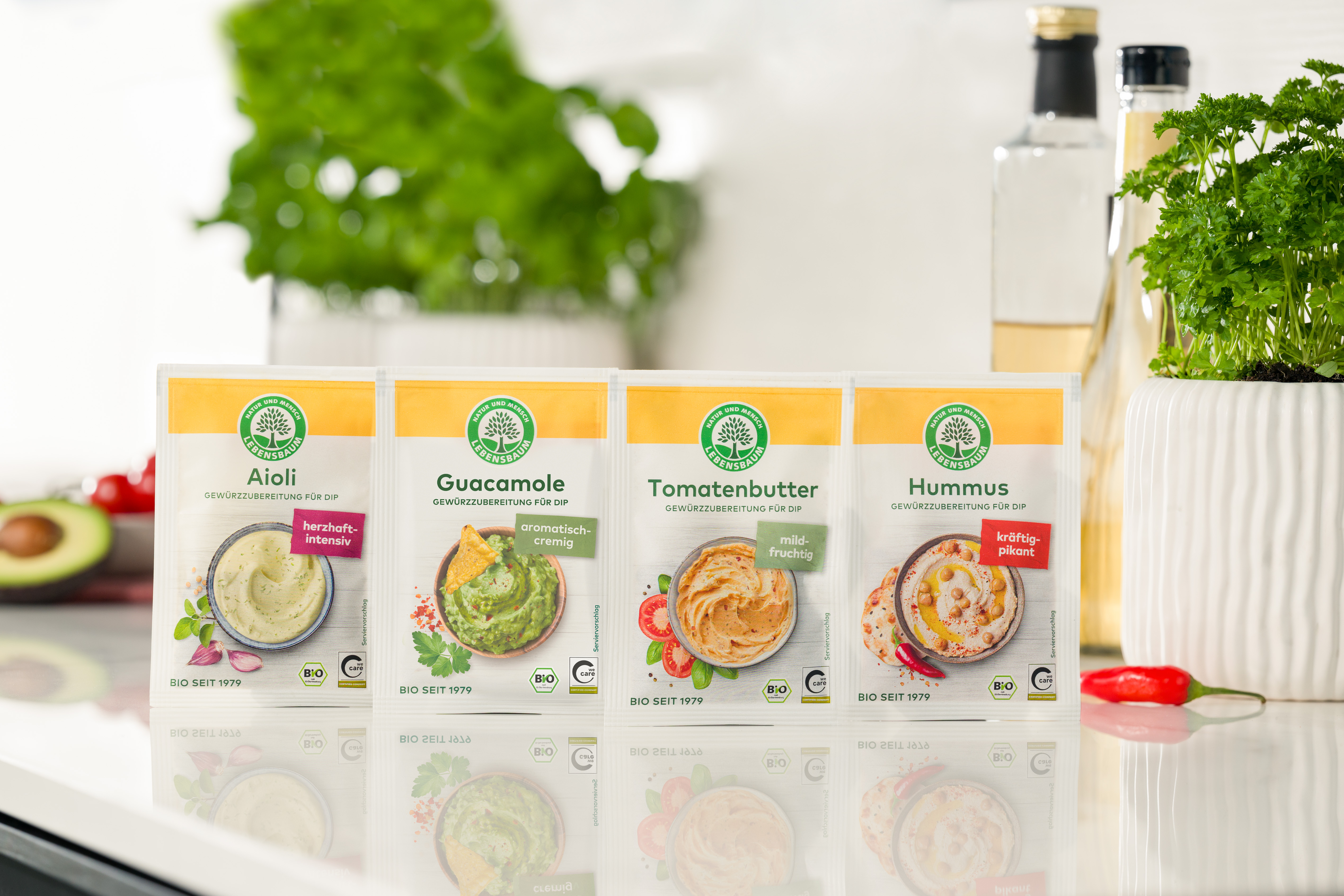 Bio Dip Gewürzmischungen
