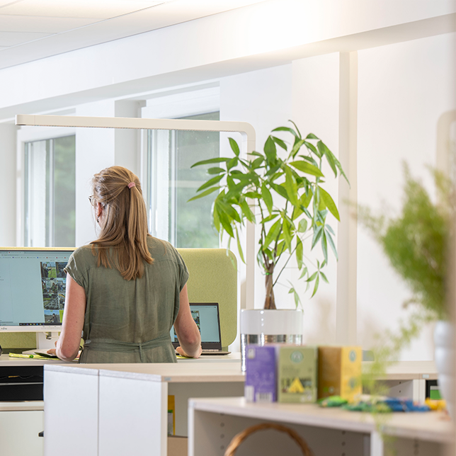 Frau arbeitet an einem höhenverstellbaren Schreibtisch in unserem hellen, modernen Büro mit Pflanzen in Diepholz