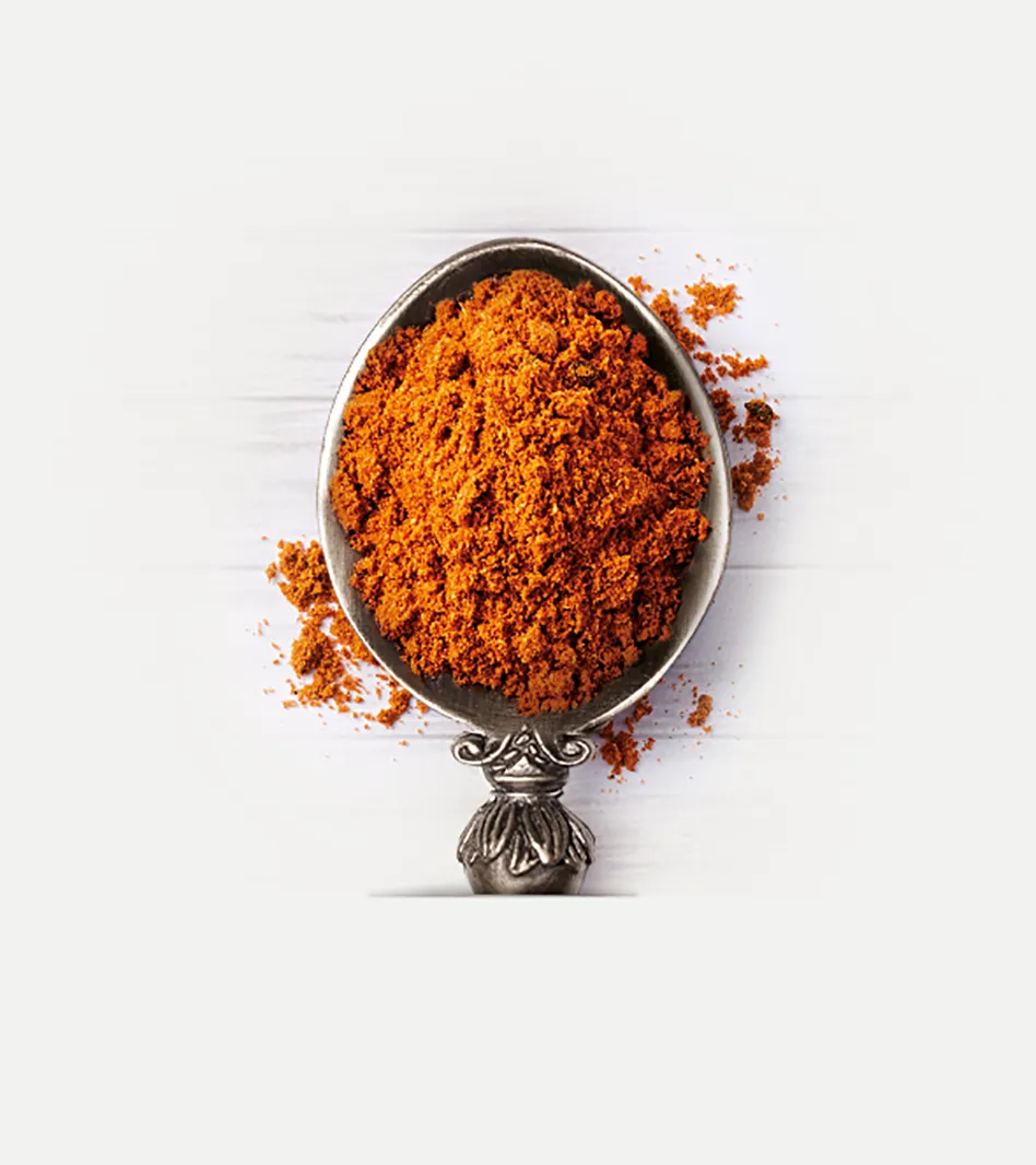 Bio Baharat Gewürz