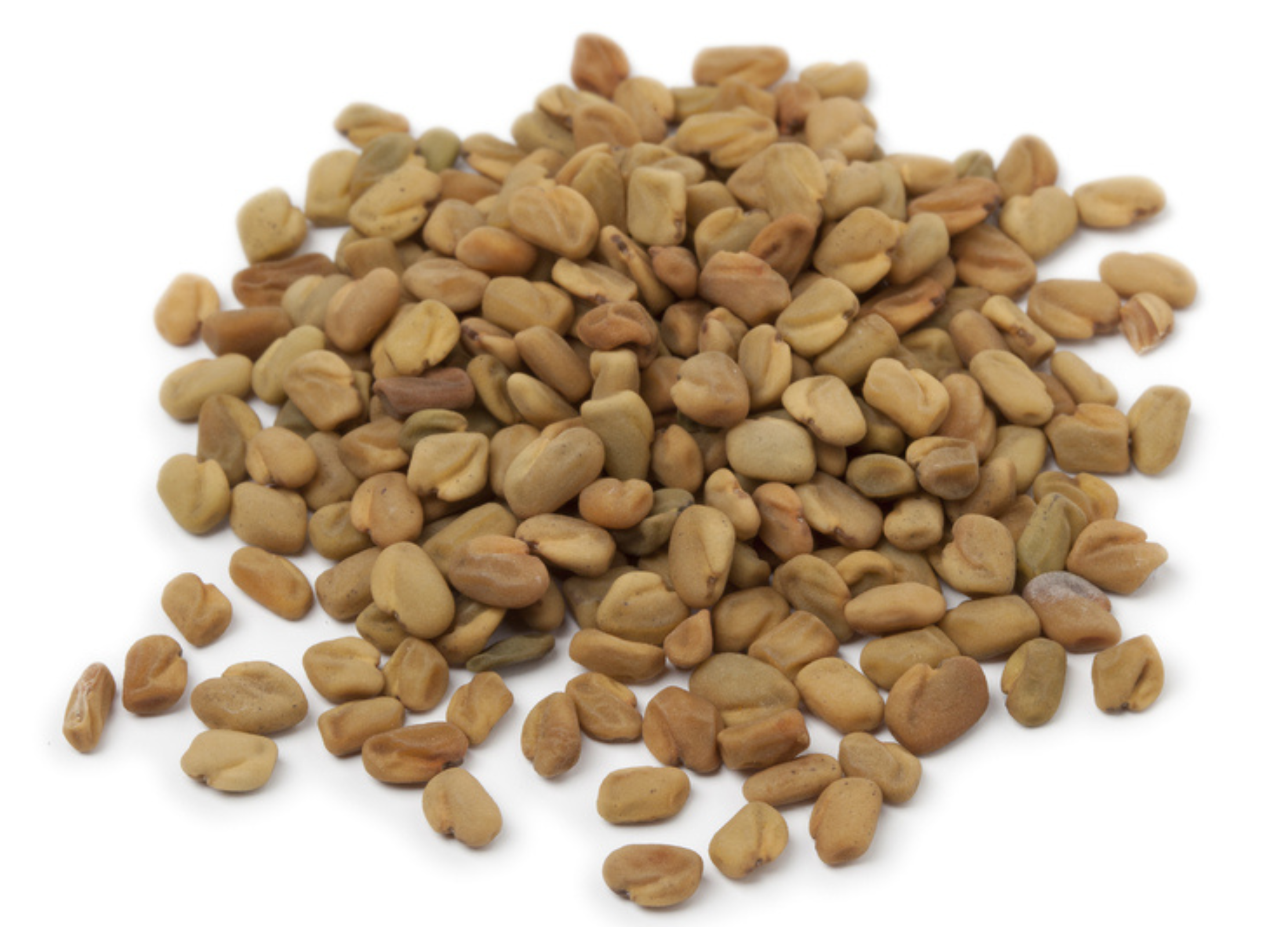 Bockshornklee Heller Haufen getrockneter Bockshornkleesamen auf weißem Hintergrund