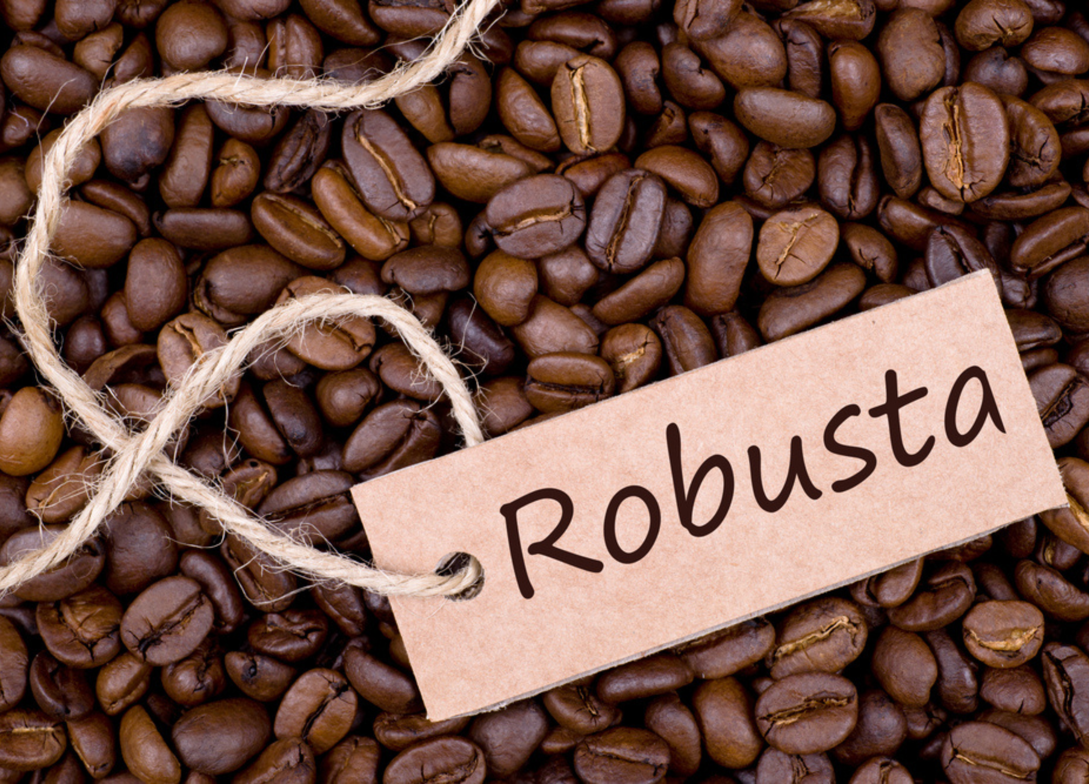 Robusta-Kaffee Robusta-Kaffee