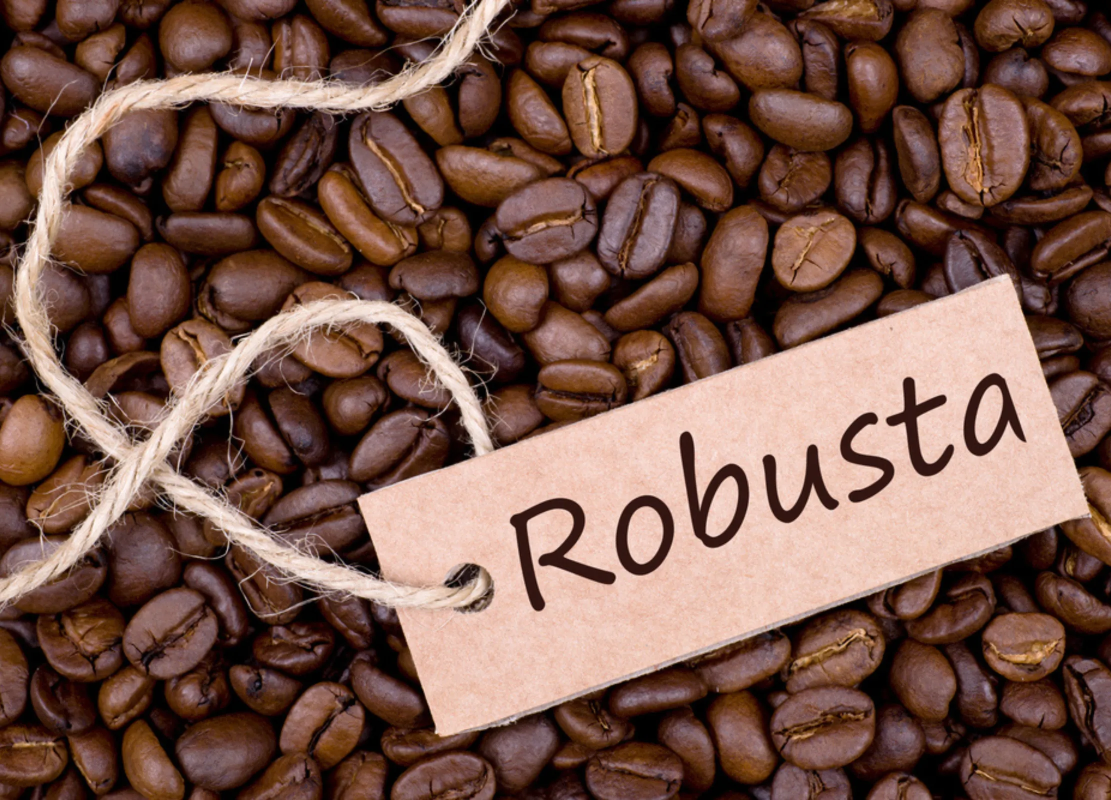 Robusta-Kaffeebohnen dunkelbraun mit charakteristischen Längsfurchen, beschriftet mit "Robusta" auf Papieretikett mit Juteschnur.