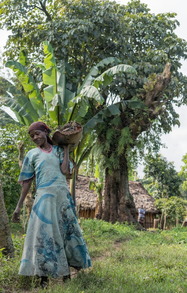 Frau trägt Ernte in einer Schale auf dem Kopf durch grüne Landschaft