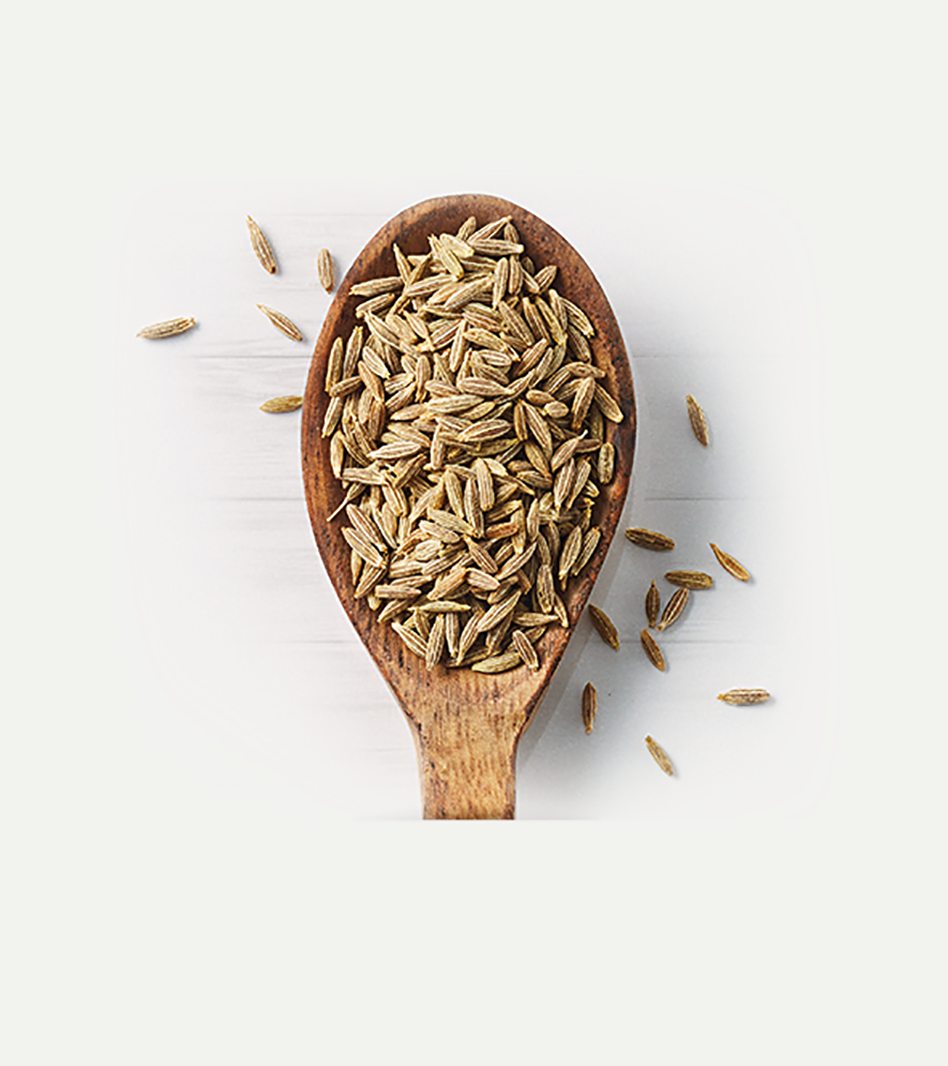 Kreuzkümmel (Cumin) Kreuzkümmel (Cumin)
