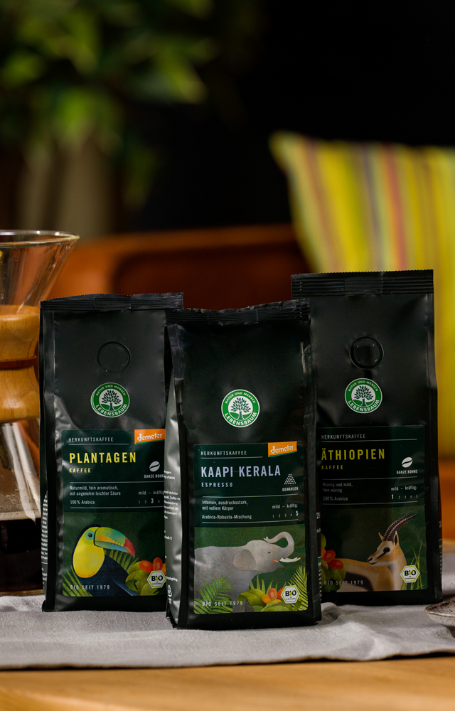 Drei Packungen Lebensbaum-Kaffee stehen auf einem Tisch mit grauer Tasse, Keks und aufgeschlagenem Buch – daneben eine Chemex-Karaffe mit frisch gebrühtem Kaffee