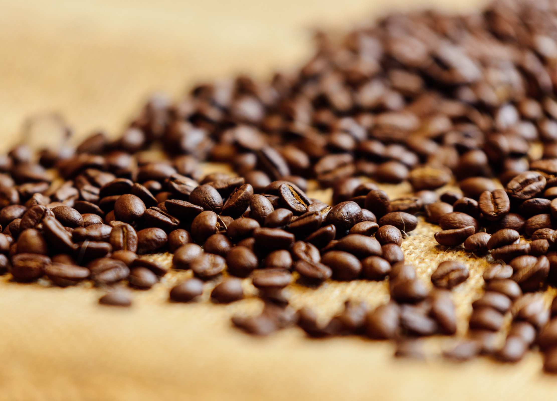 Geröstete Kaffeebohnen liegen verstreut auf grobem Stoff