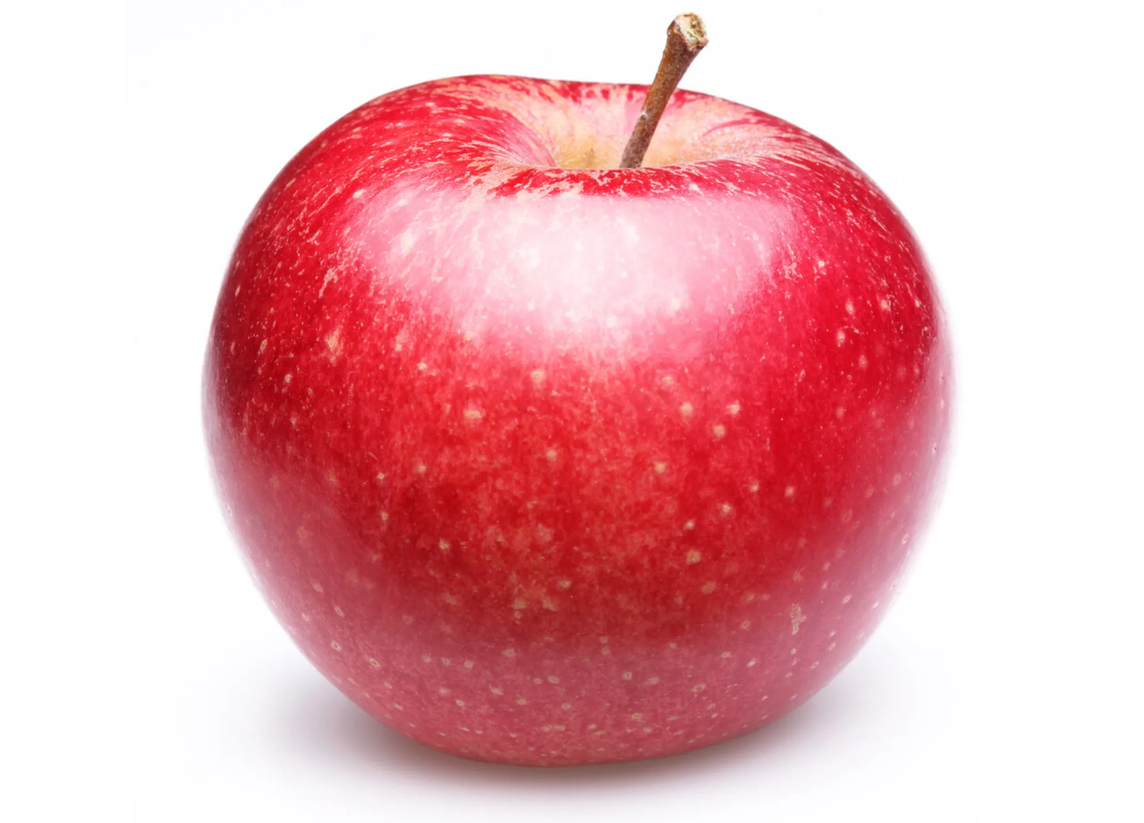 Glänzender roter Apfel mit braunem Stiel auf weißem Hintergrund