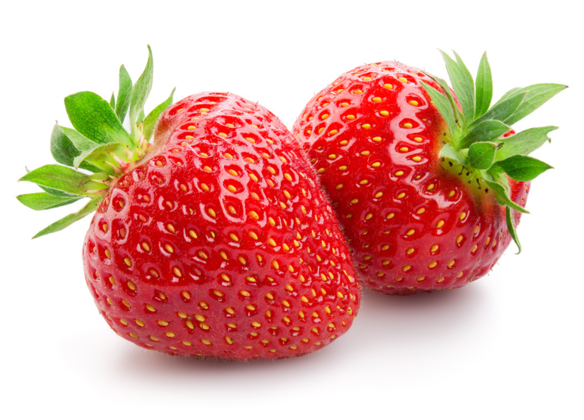 Erdbeere Zwei glänzend rote Erdbeeren mit grünen Kelchblättern liegen nebeneinander auf weißem Hintergrund