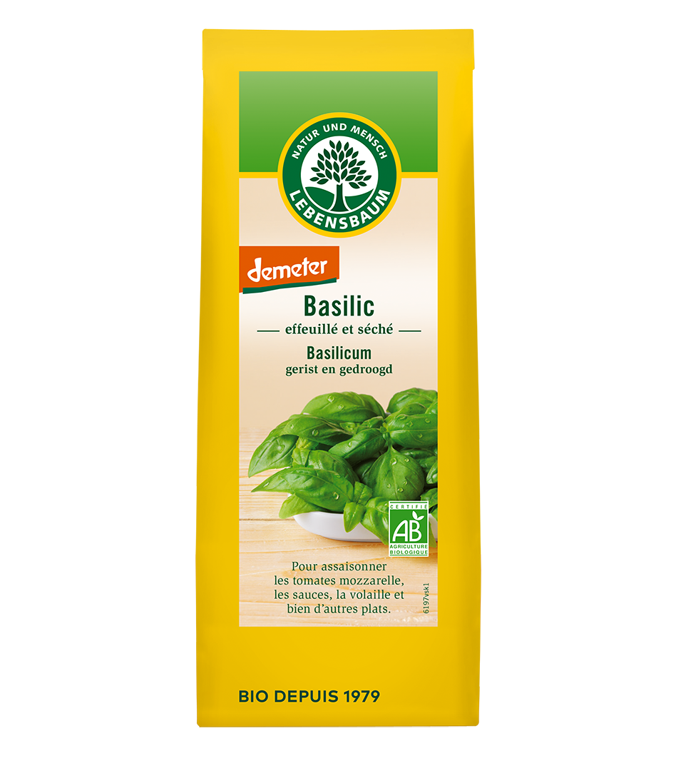 Basilic Basilic