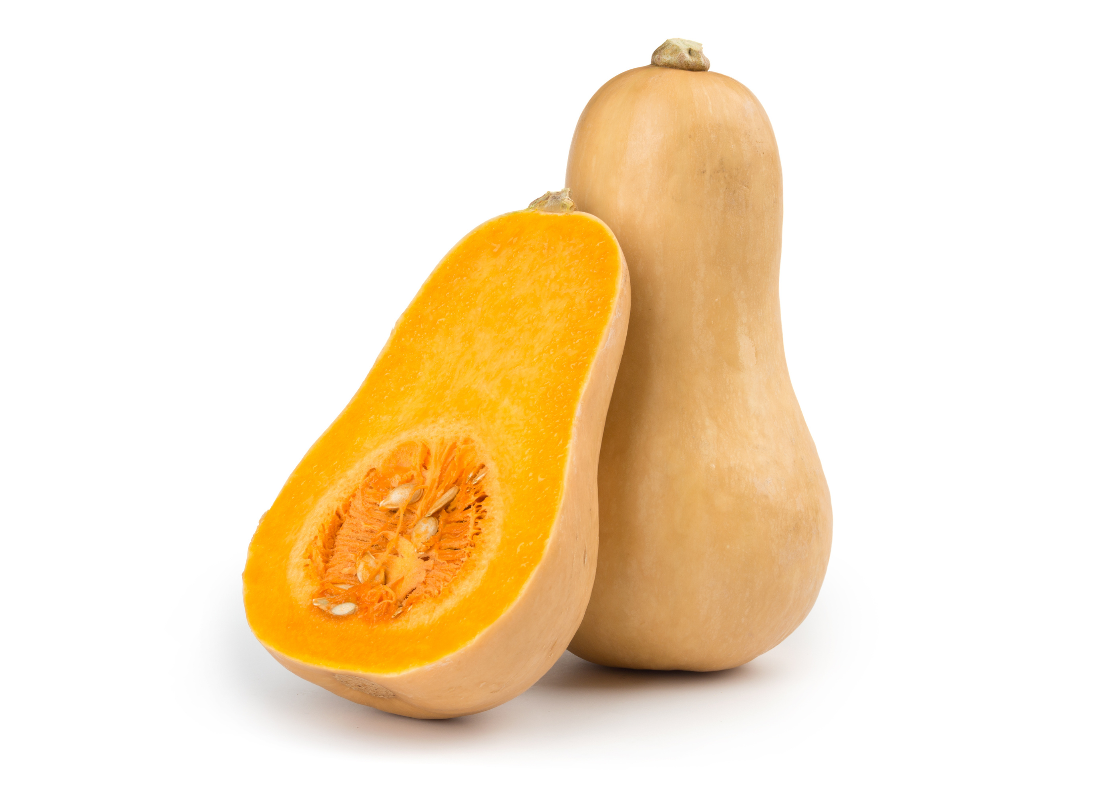 Kürbis Ein Butternut-Kürbis, einer ganz und einer halbiert, zeigt das leuchtend orange Fruchtfleisch und die Kerne