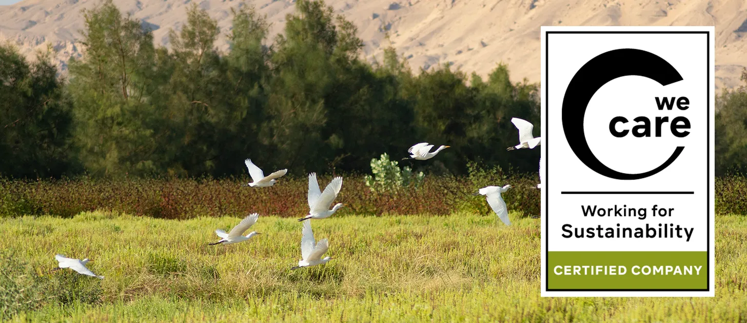 Weiße Vögel fliegen über eine grüne Wiese mit Bäumen im Hintergrund; daneben das Nachhaltigkeitssiegel ‚We Care‘