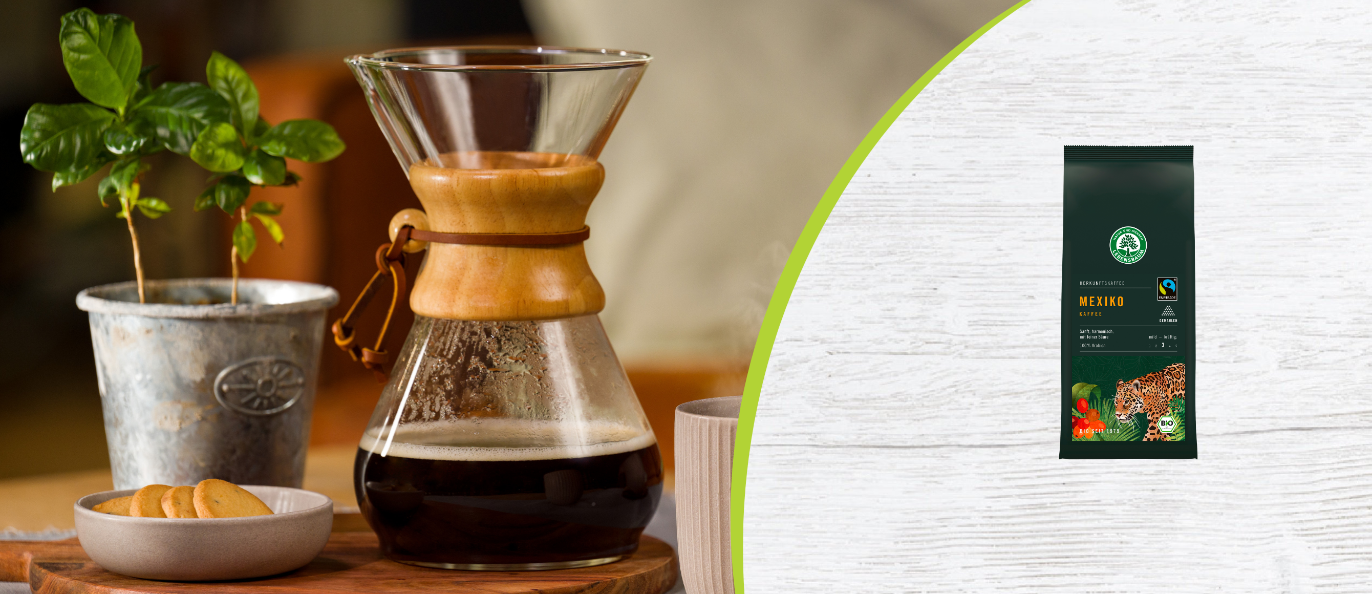 Kaffeezubereitung mit Chemex, daneben Kaffeepflanze, Kekse und eine Packung Lebensbaum Herkunftskaffee Mexiko