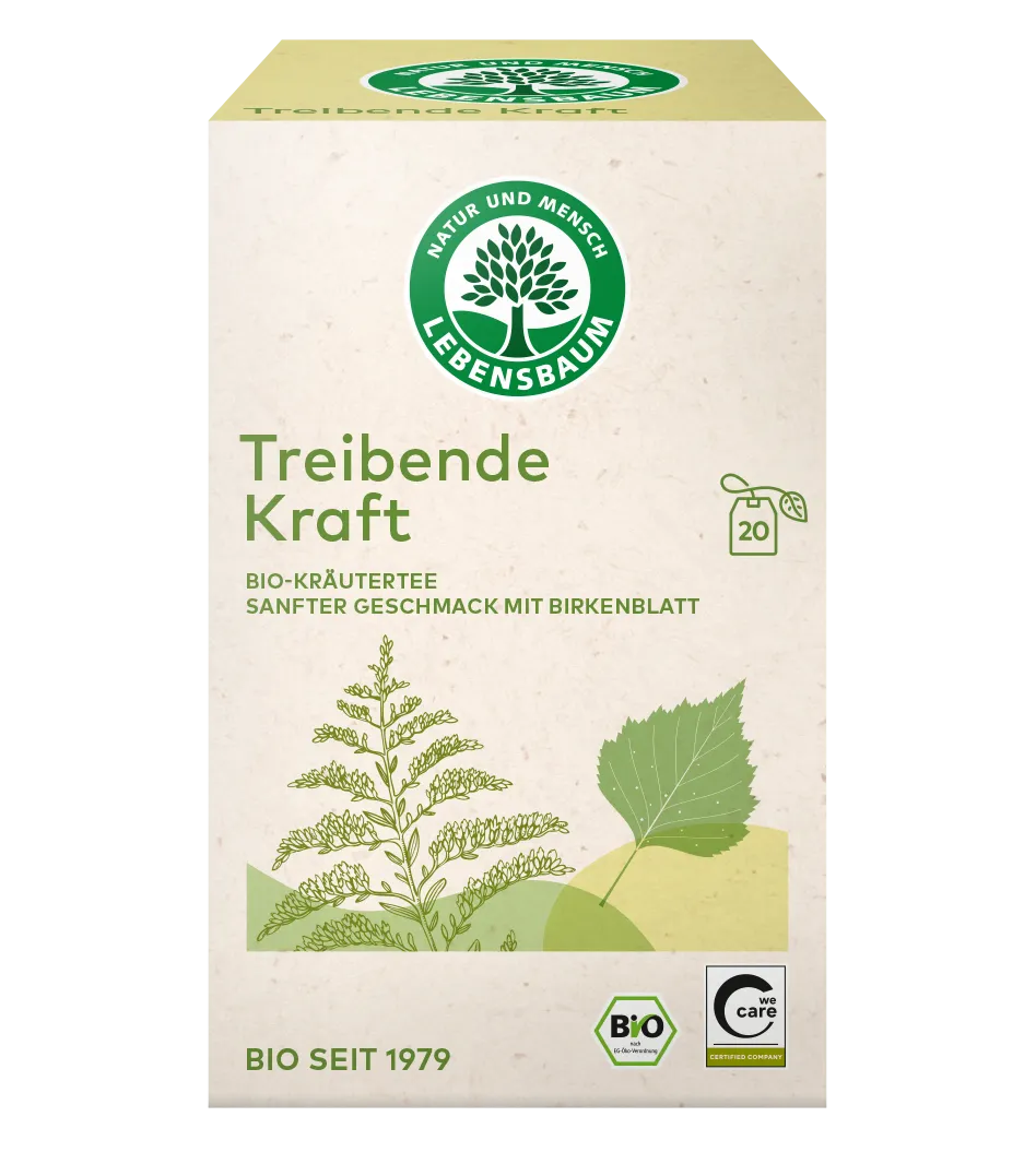 Treibende Kraft Bio-Kräutertee mit Birkenblatt, 20 Teebeutel in cremefarbener Schachtel mit grünem Logo und Pflanzenmotiven.