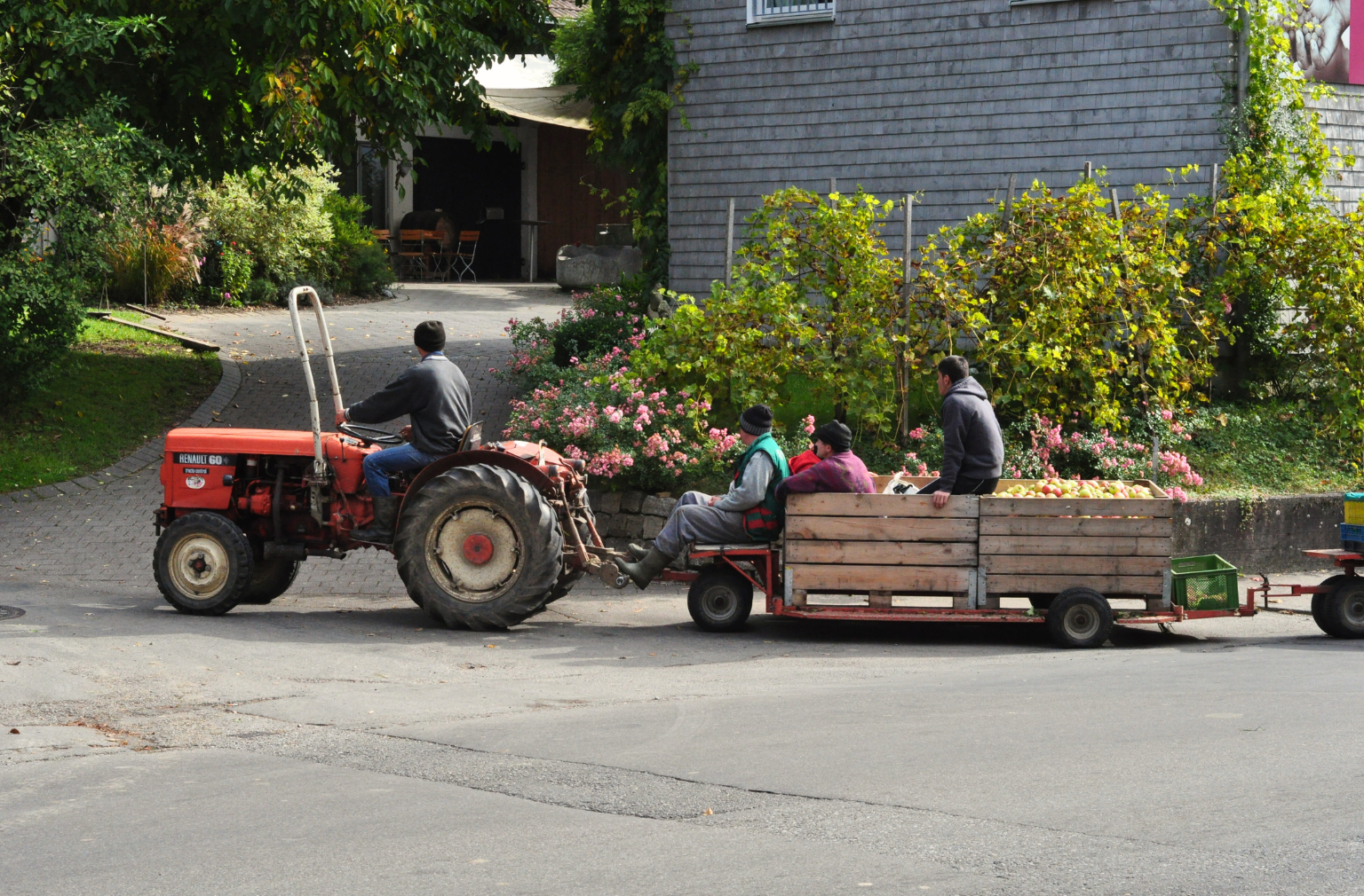 Traktor mit Anhänger, auf dem Menschen und Erntekisten sitzen, vor einem Hof