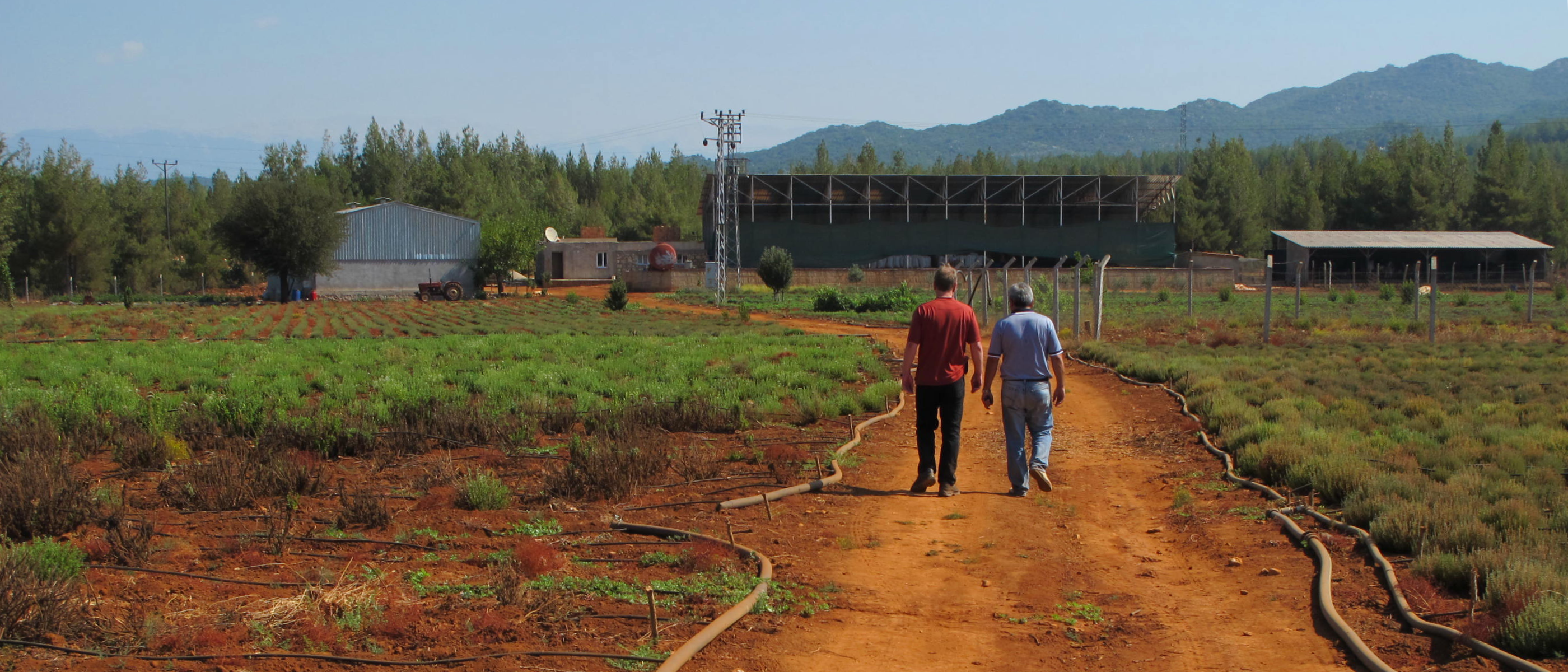 Zwei Personen gehen einen Weg entlang durch landwirtschaftliche Felder vor einem Gebäude in der Türkei