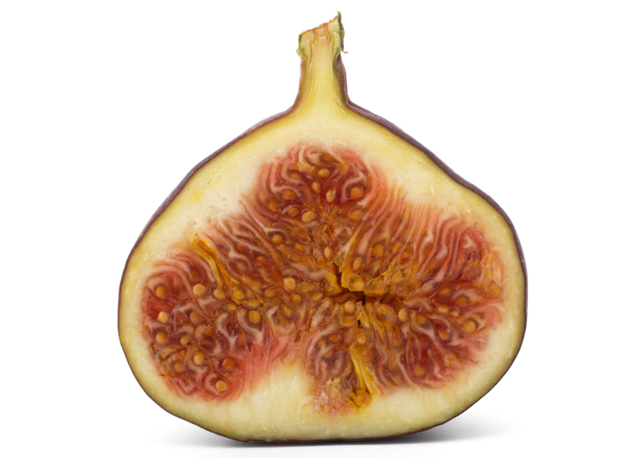Feige Halbierte Feige mit violetter Schale und saftigem, rot-orangefarbenem Fruchtfleisch, das von vielen kleinen Samen durchzogen ist