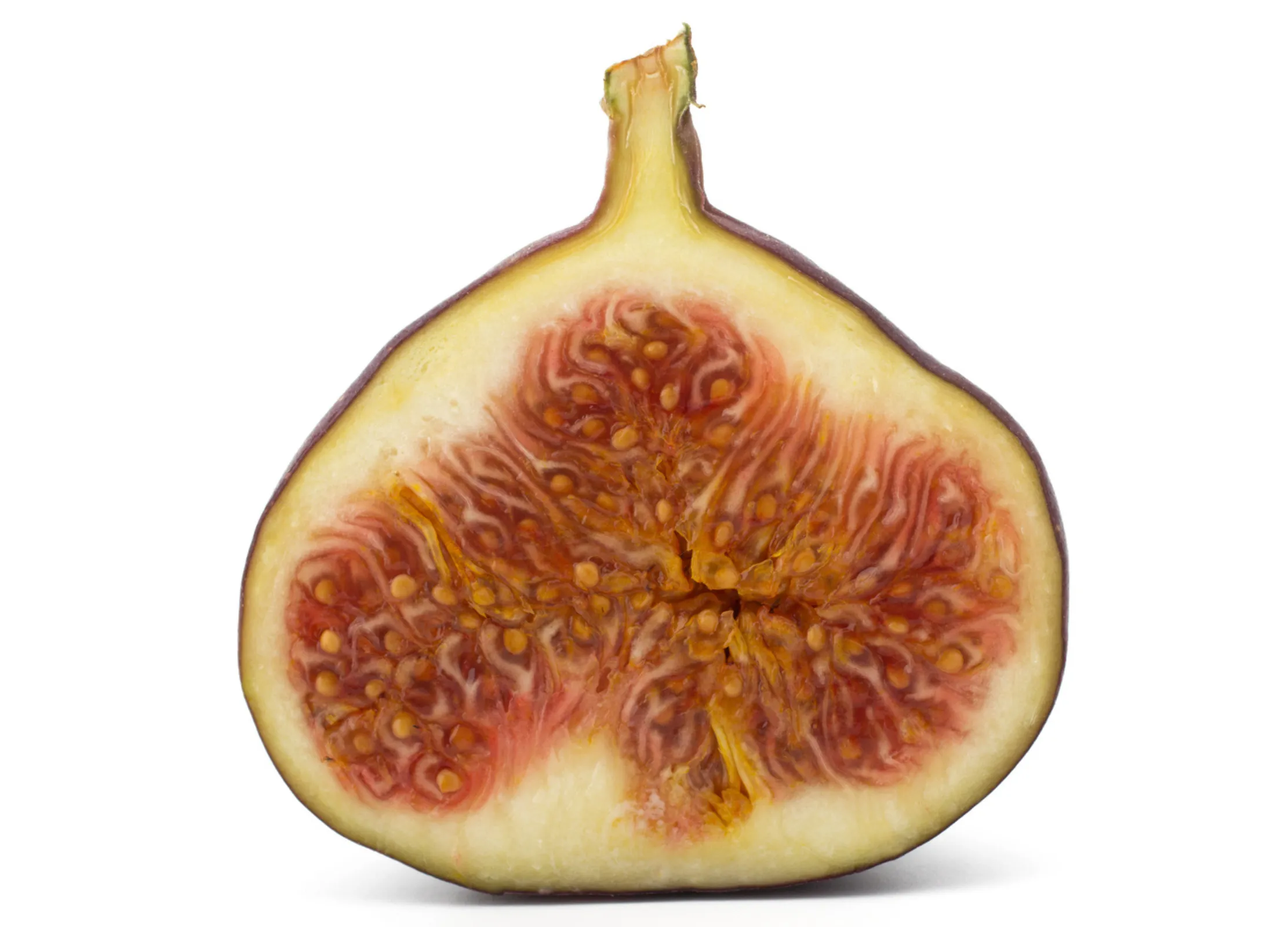 Halbierte Feige mit violetter Schale und saftigem, rot-orangefarbenem Fruchtfleisch, das von vielen kleinen Samen durchzogen ist