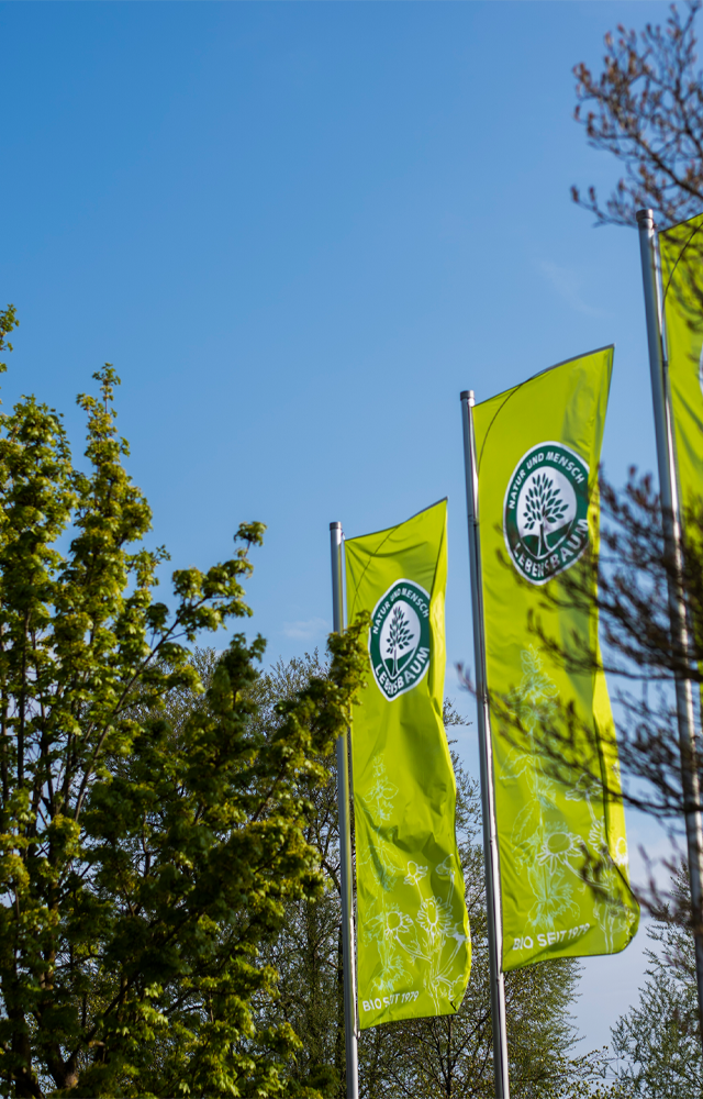 Grüne Fahnen mit Lebensbaum-Logo wehen zwischen Bäumen unter blauem Himmel