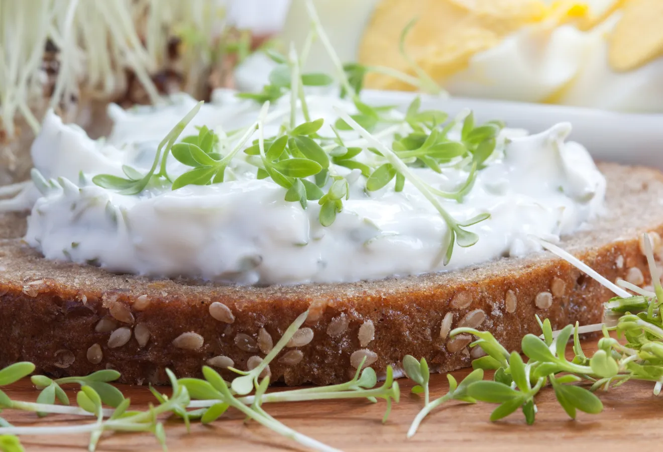 Kräutercreme auf Brot mit Kresse garniert