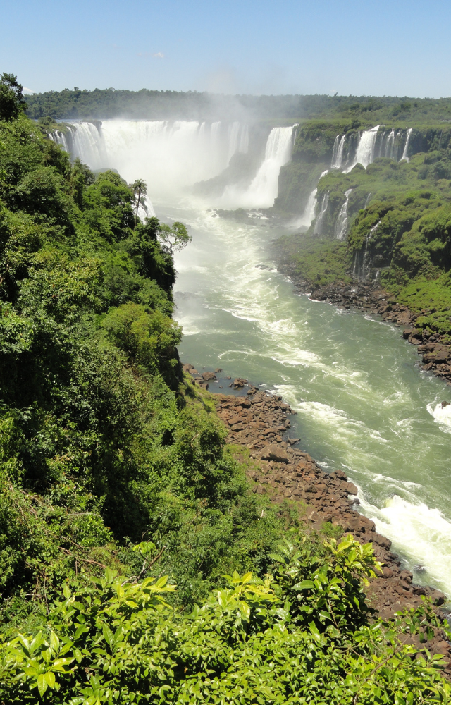 Wasserfall in einem Dschungel