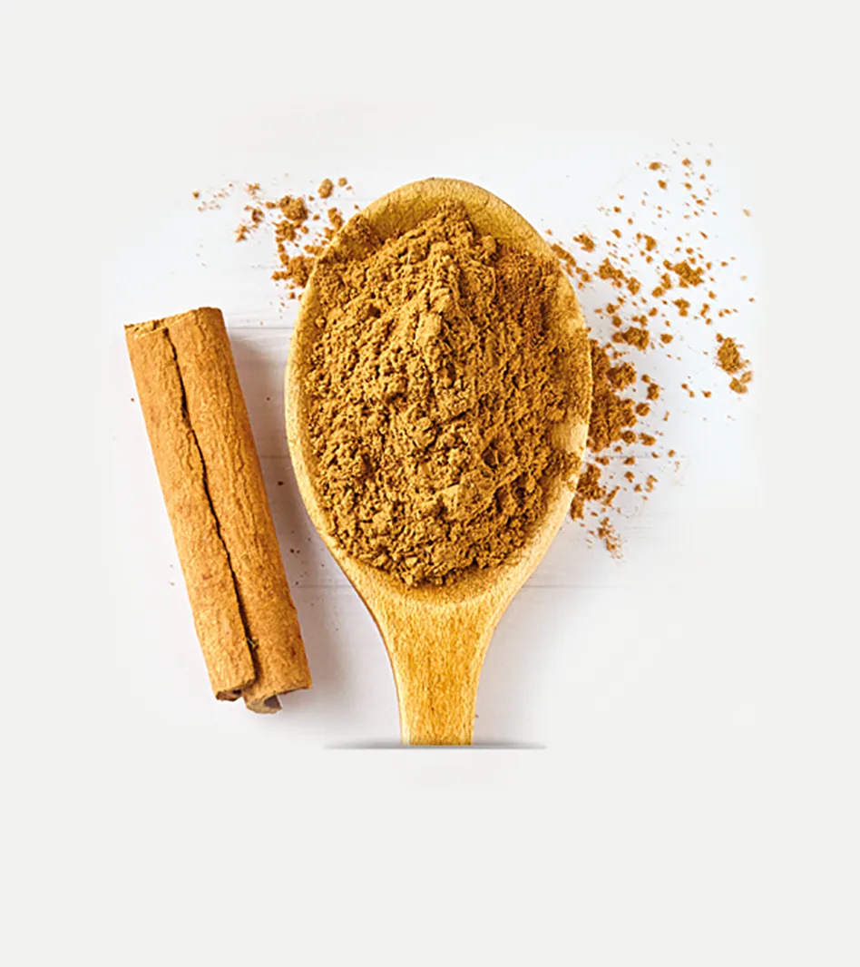 Gemahlenes Zimtpulver auf Holzlöffel neben Zimtstangen, goldbraune Farbe, verstreutes Pulver auf hellem Hintergrund.