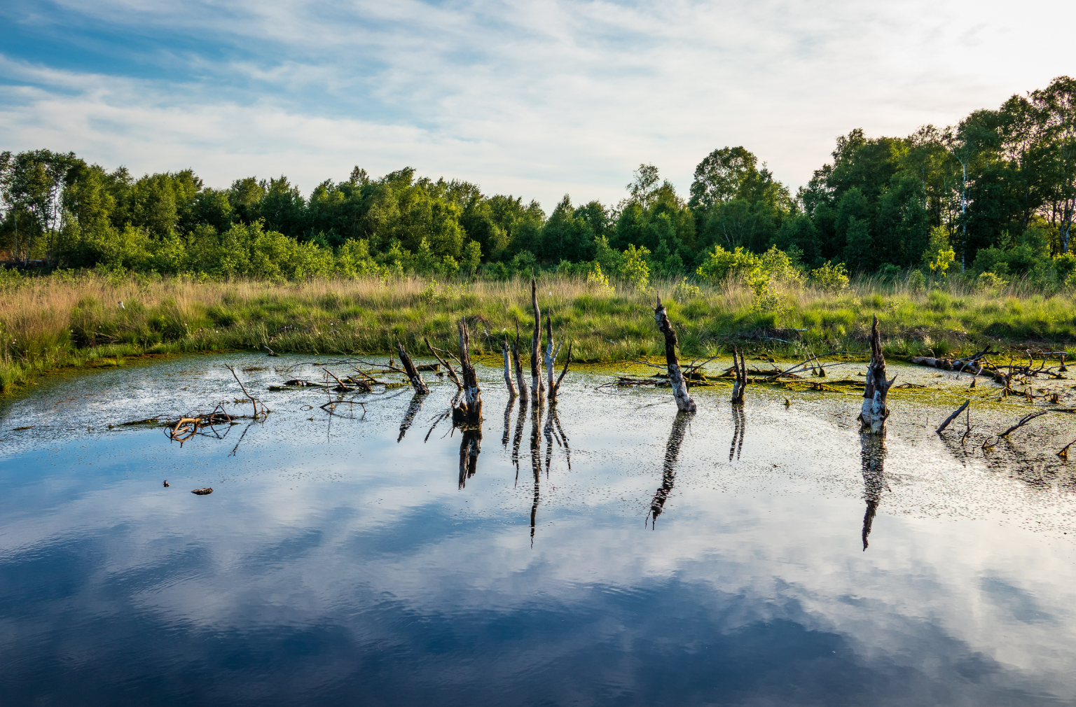 Diepholzer Moorlandschaft