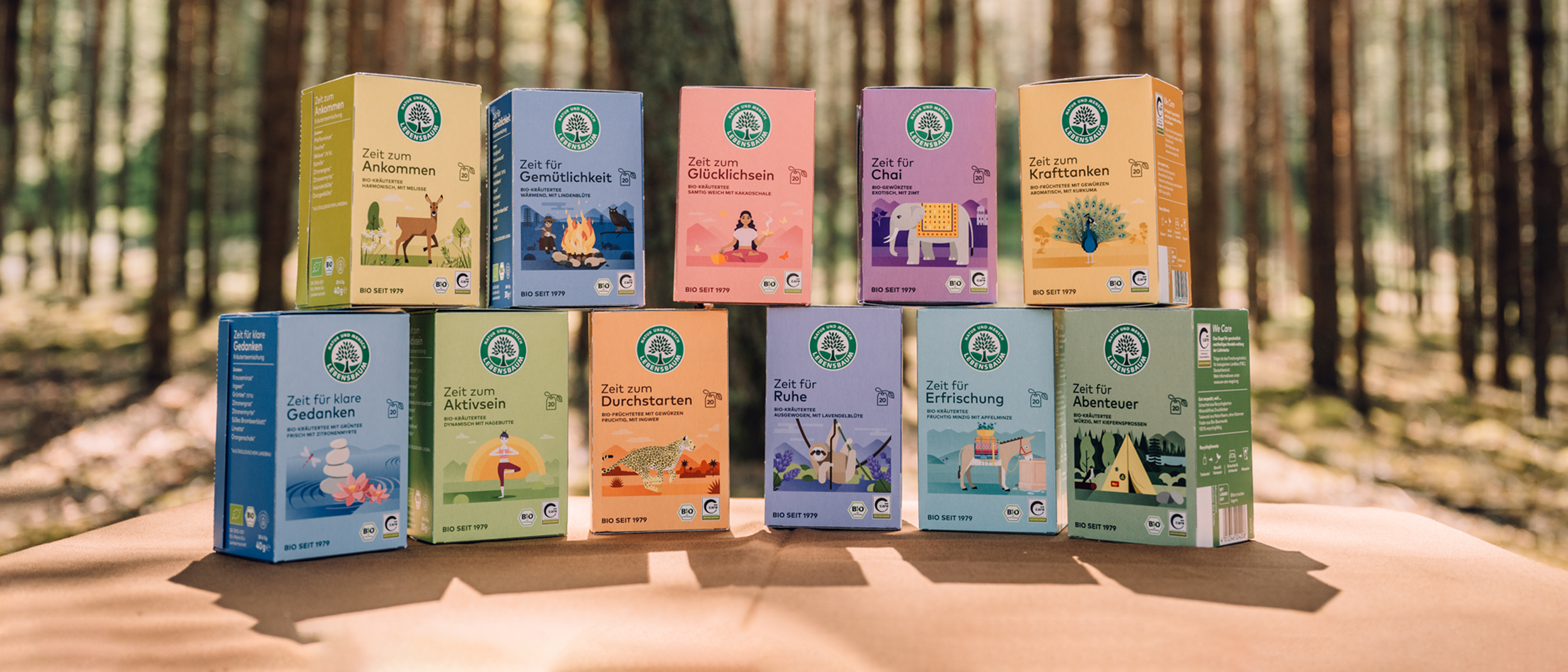 Wohlfühltee-Serie in Reihe aufgestellt und übereinander gestapelt vor einem Wald-Hintergrund