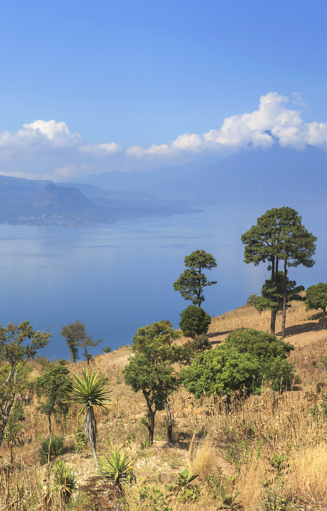 Landschaft mit See, Vulkan und Bäumen im Vordergrund in Guatemala