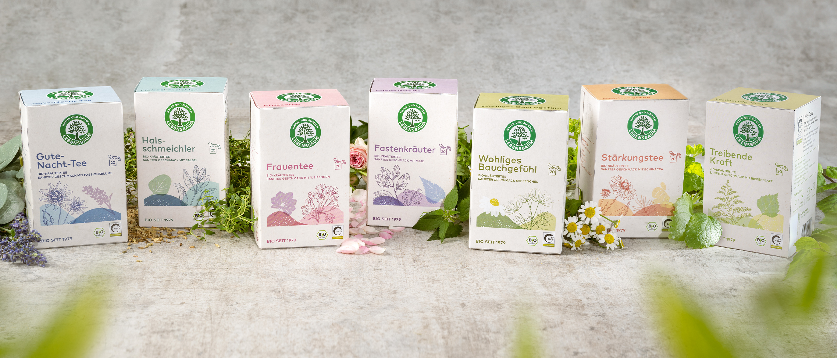 Unsere Natürliche Kraft Tee-Serie nebeneinander aufgestellt