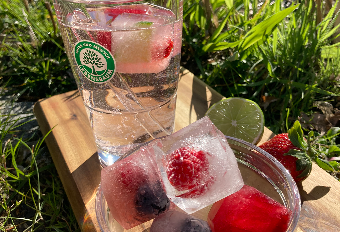 Fruchtige Eiswürfel mit Himbeeren und Heidelberen darin in einer Schale, dahinter ein Gals Wasser mit fruchtigen Eiswürfeln darin