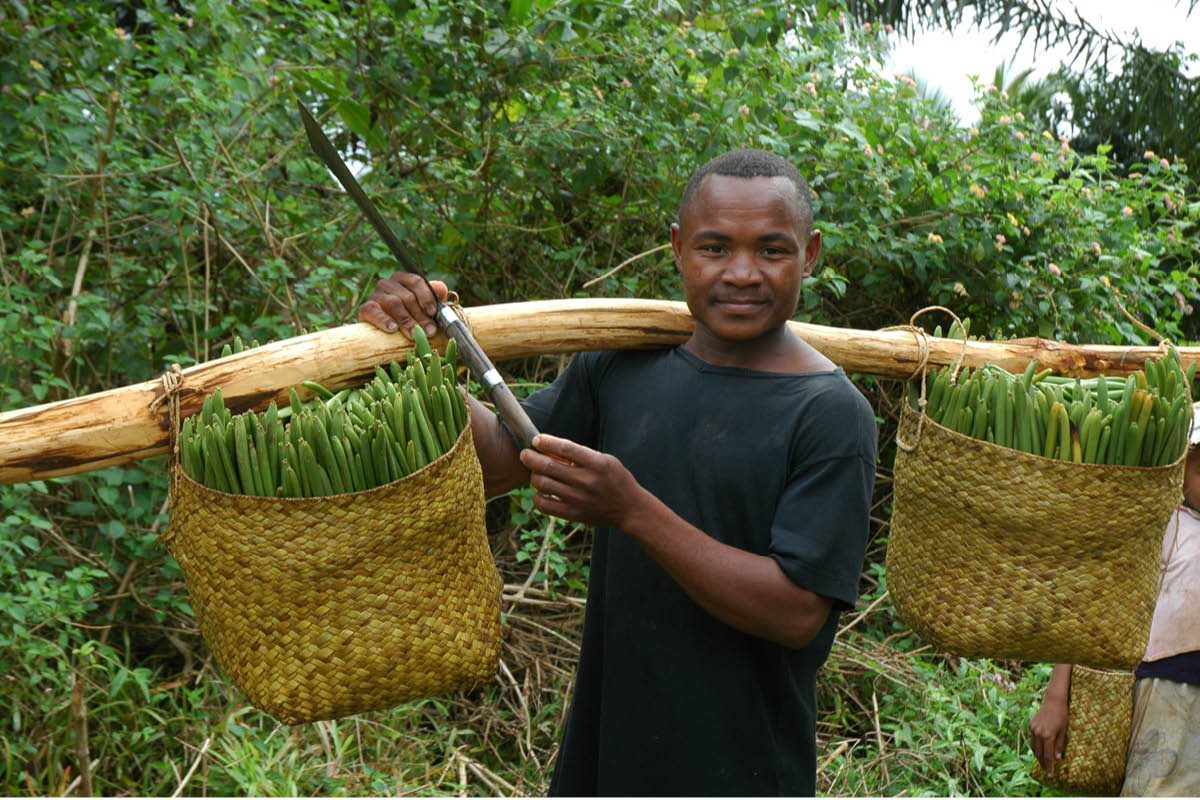 Ein Mann trägt Rohwaren