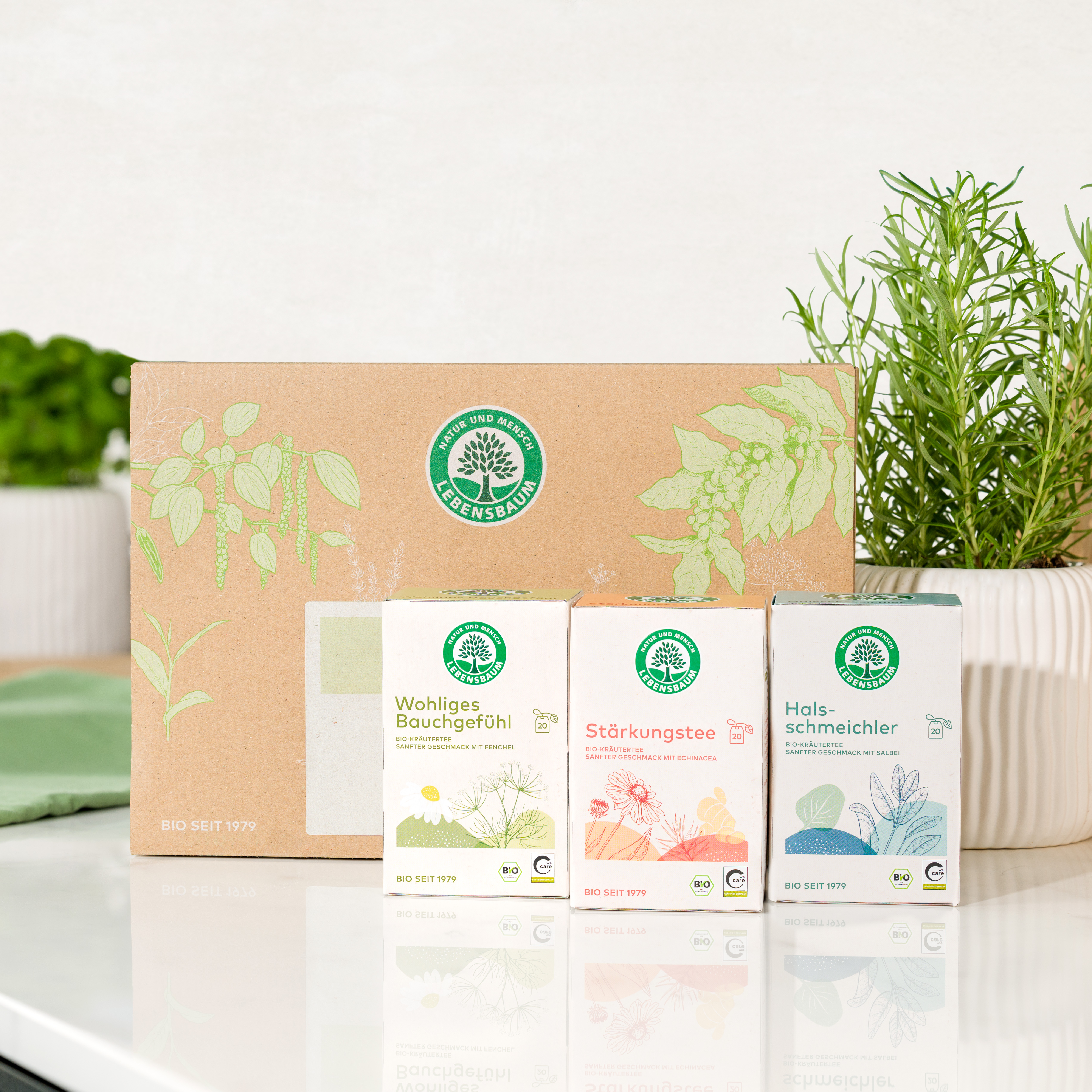 Tee-Set Gute Besserung Bio Tee-Set Gute Besserung mit Wohliges Bauchgefühl, Stärkungstee und Halsschmeichler