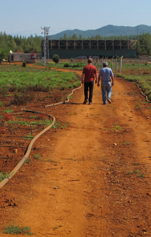 Zwei Männer gehen auf einem roten Feldweg durch landwirtschaftliches Gelände