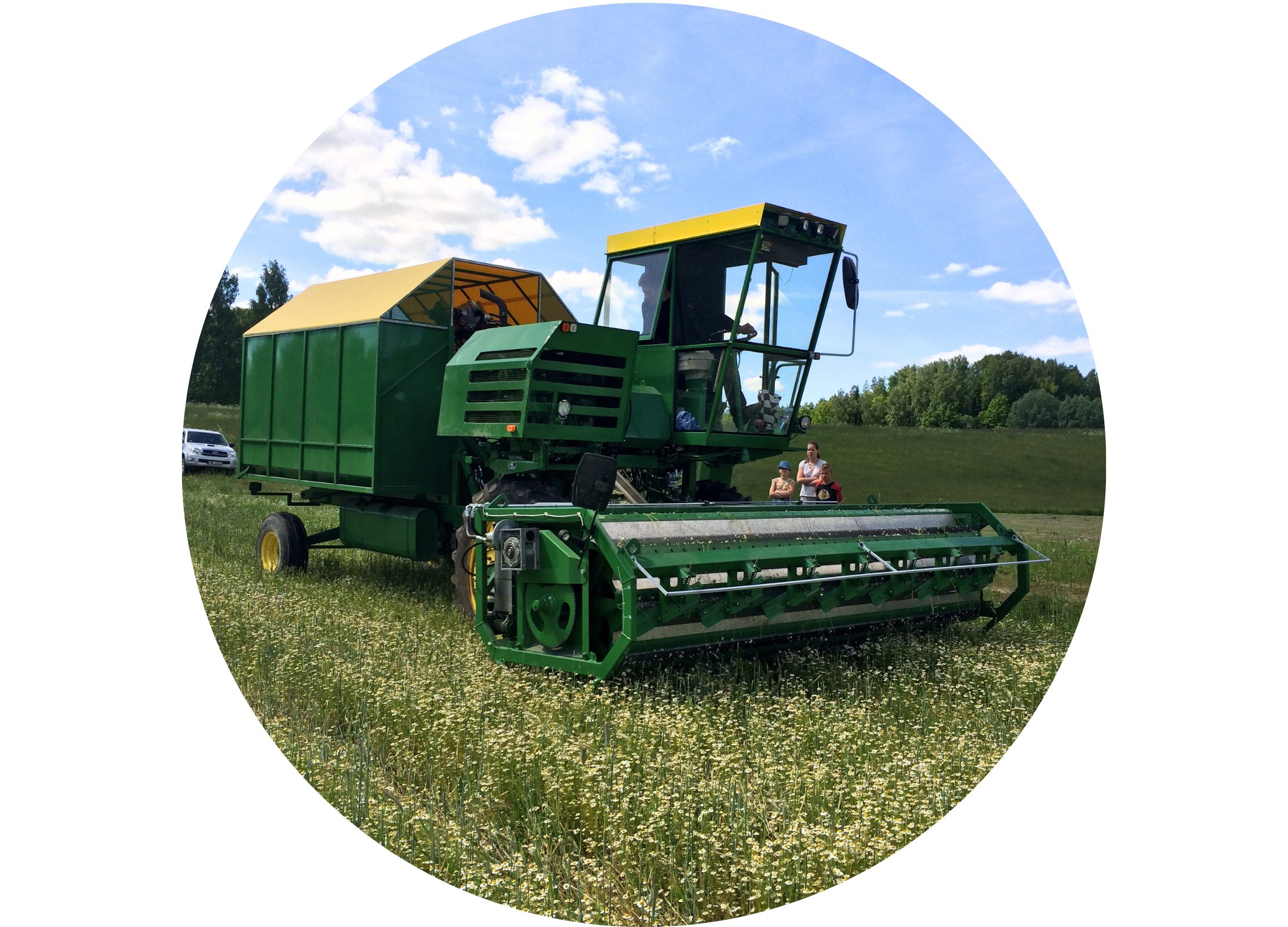 Grüner Mähdrescher auf einem Feld mit blühenden Pflanzen unter blauem Himmel