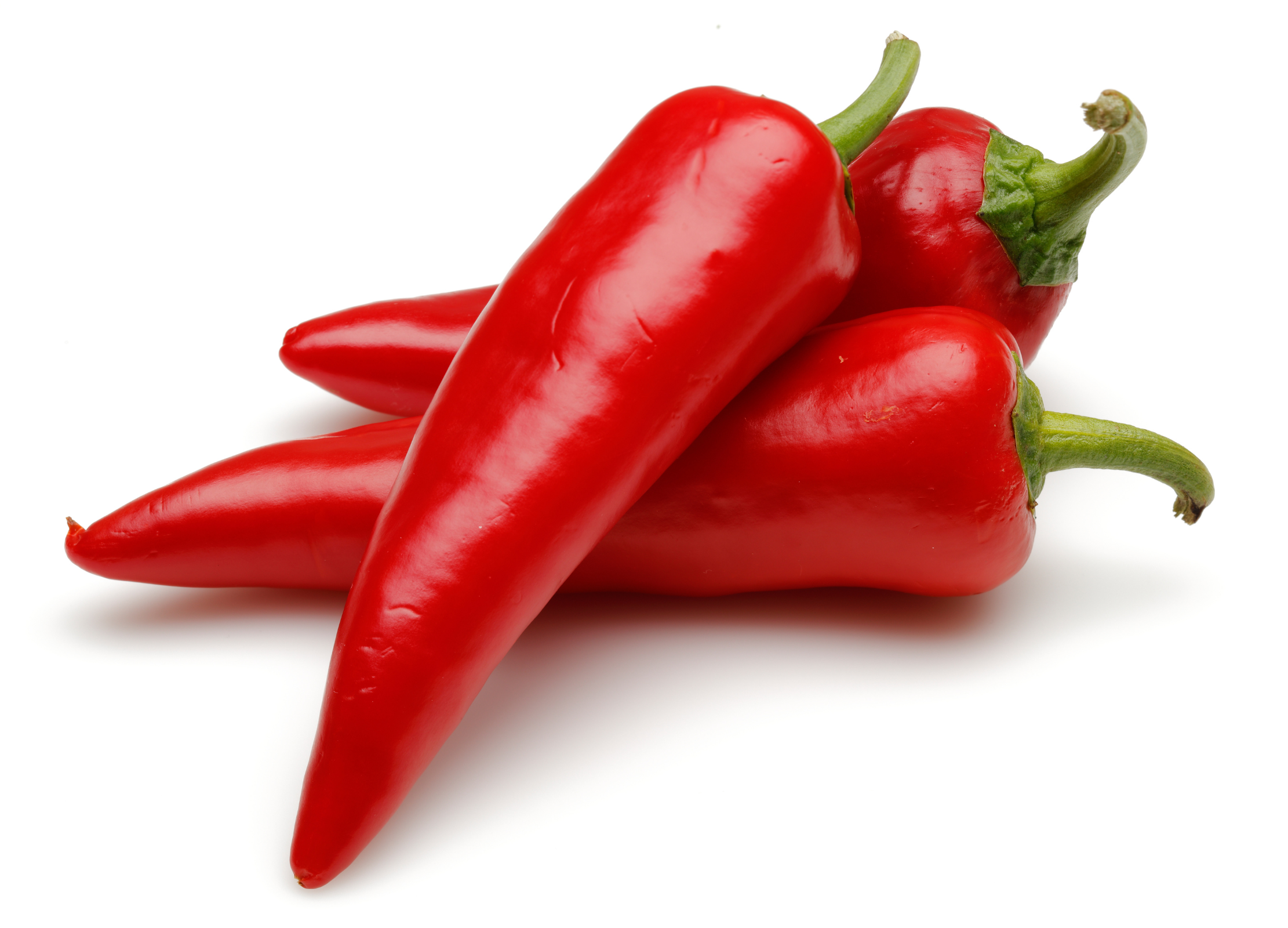 Drei leuchtend rote Chilischoten liegen auf weißem Hintergrund