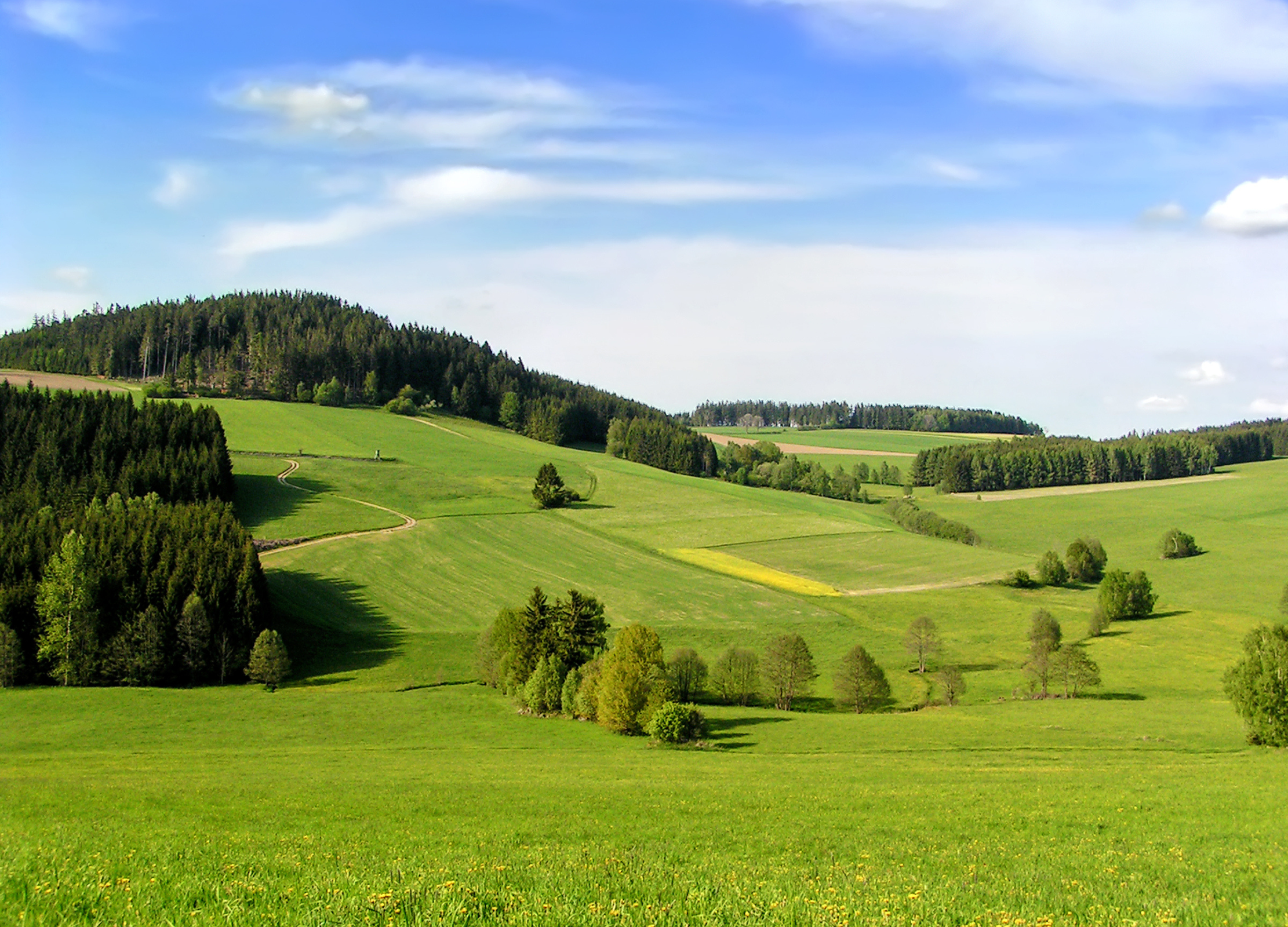 Grüne, hügelige Landschaft mit Wiesen, Feldern und Wald unter blauem Himmel