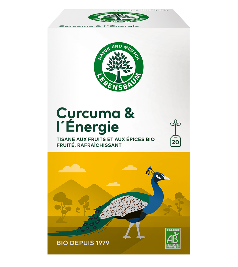 Curcuma & l'Énergie