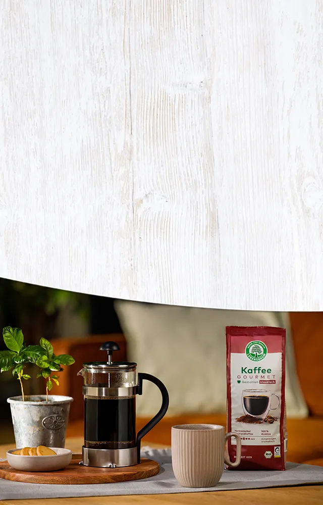 Kaffeezubereitung mit Gourmet-Kaffeepackung, Pressekannenset und Keramiktasse auf Holzuntergrund, daneben frische Minze