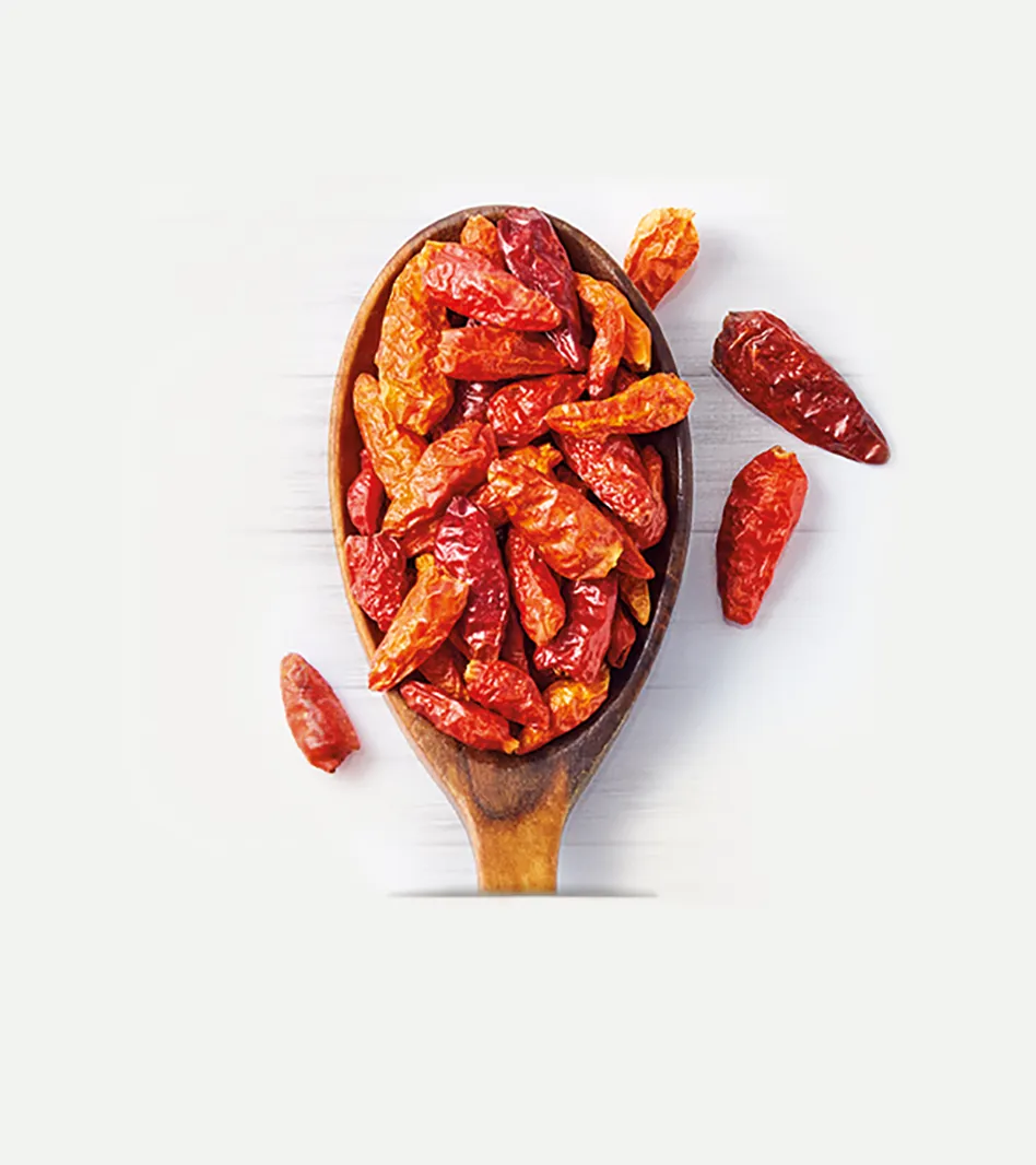 Getrocknete rote Chili-Schoten Bird's Eye in Holzlöffel, leuchtend rot-orange, aromatisches Würzgewürz