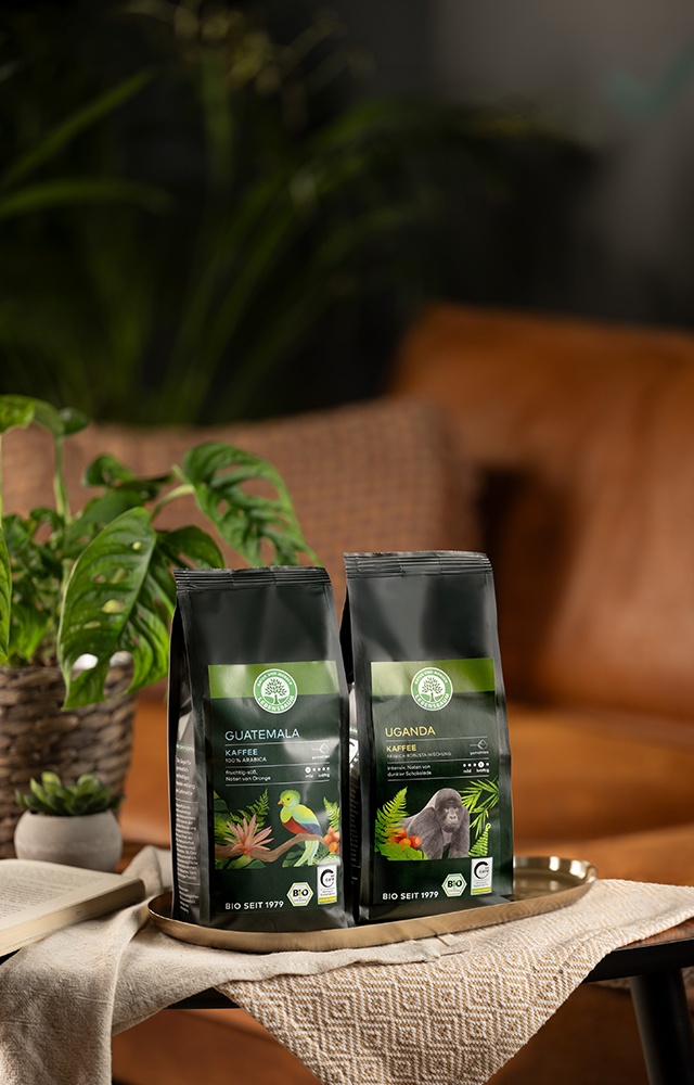 Zwei Herkunftskaffeepackungen mit den Sorten Guatemala und Uganda auf einem Tablett vor Sofa und Zimmerpflanze