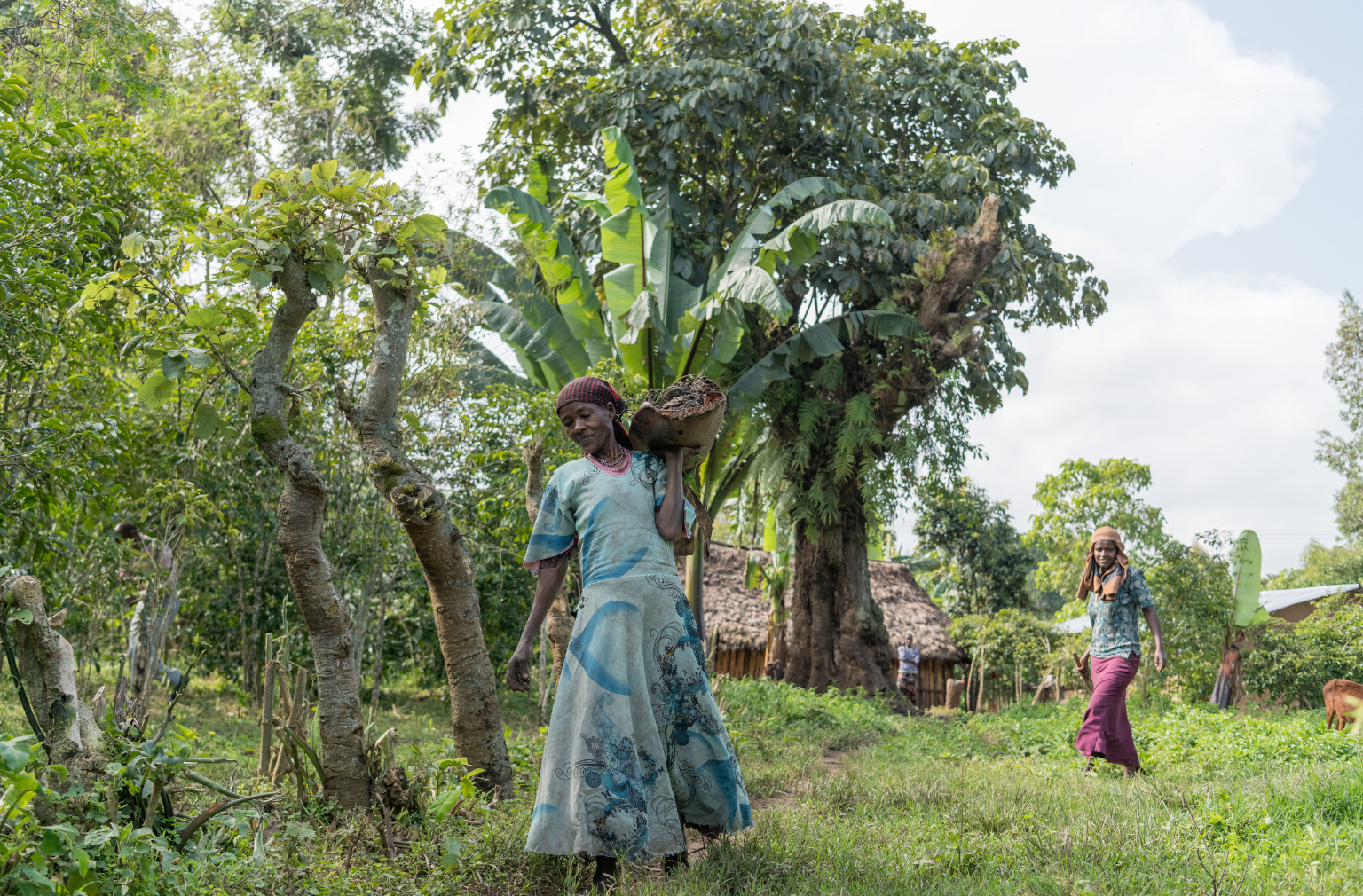 Frau trägt Ernte in einer Schale auf dem Kopf durch grüne Landschaft, weitere Personen im Hintergrund