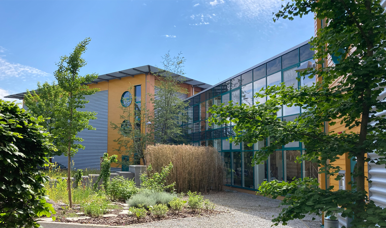 Gebäude der Firma Lebensbaum mit gelber Fassade, großen Glasfenstern und einem begrünten Vorplatz unter blauem Himmel