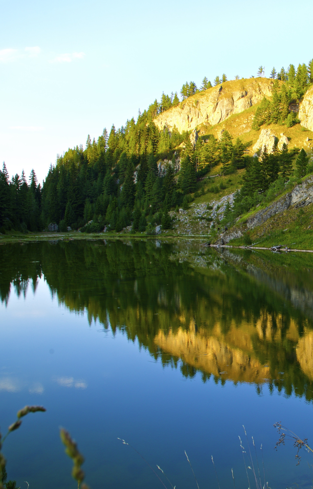 Berg mit Nadelwald spiegelt sich in einem ruhigen See in Kosovo