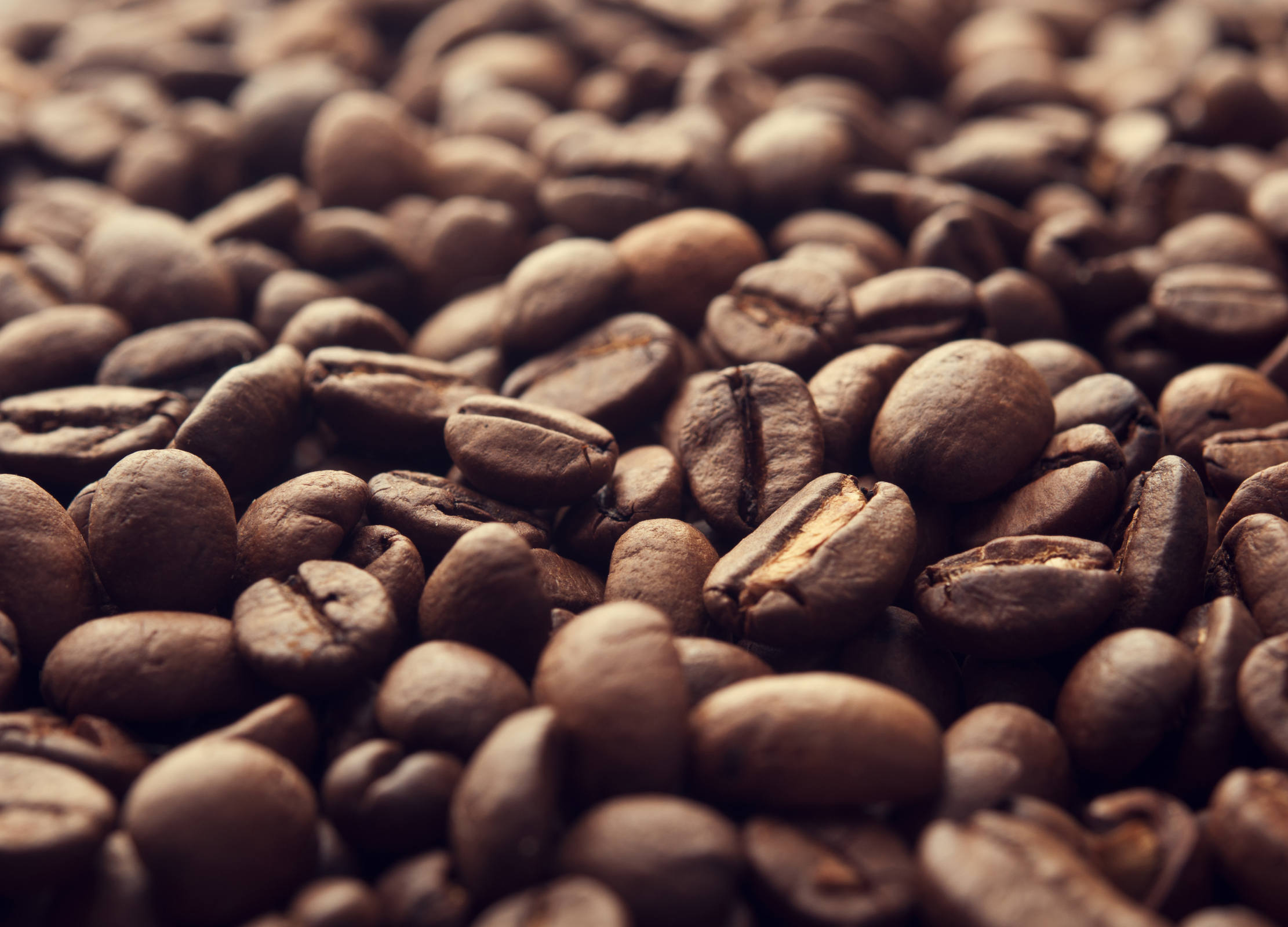 Nahaufnahme von gerösteten Kaffeebohnen mit leicht glänzender, brauner Oberfläche