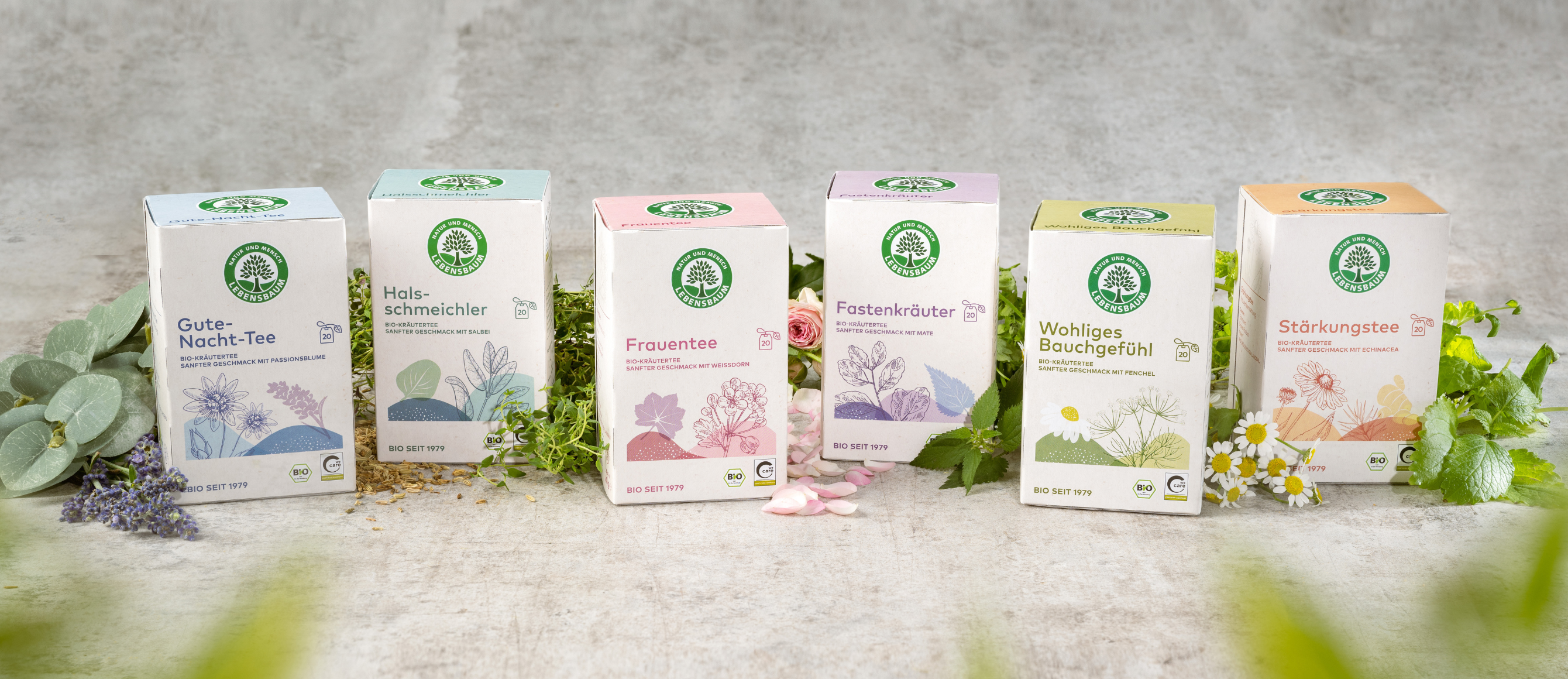 Natürliche Kraft Tee-Serie nebeneinander aufgesetllt