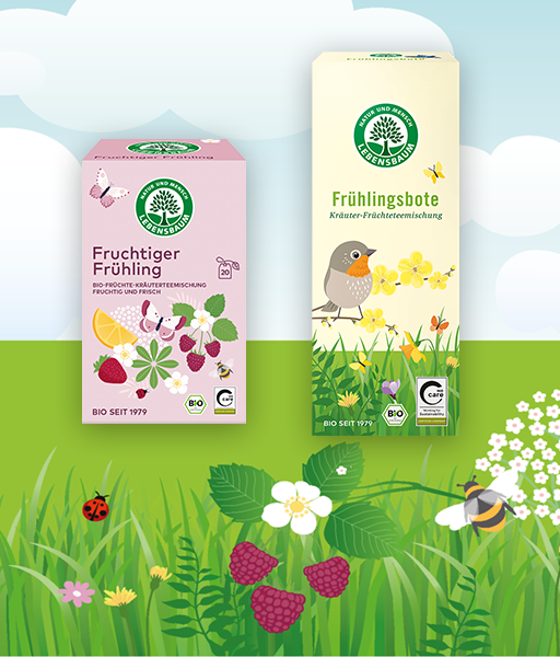 Kategoriebild für Frühlingstees von LEBENSBAUM, zwei Verpackungen von Frühlingstees auf einer Grafik einer Frühlingslandschaft mit eine Hummel, Blumen und Gräsern